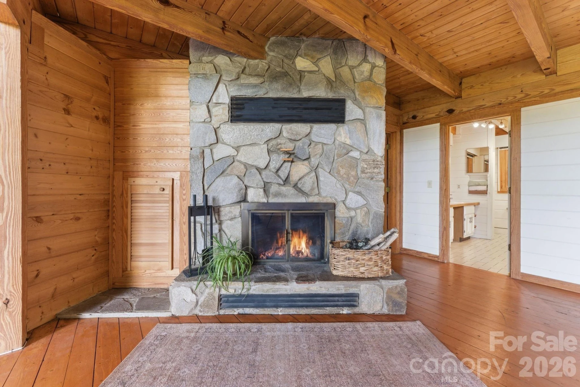 429 Biodome Drive - Photo 9