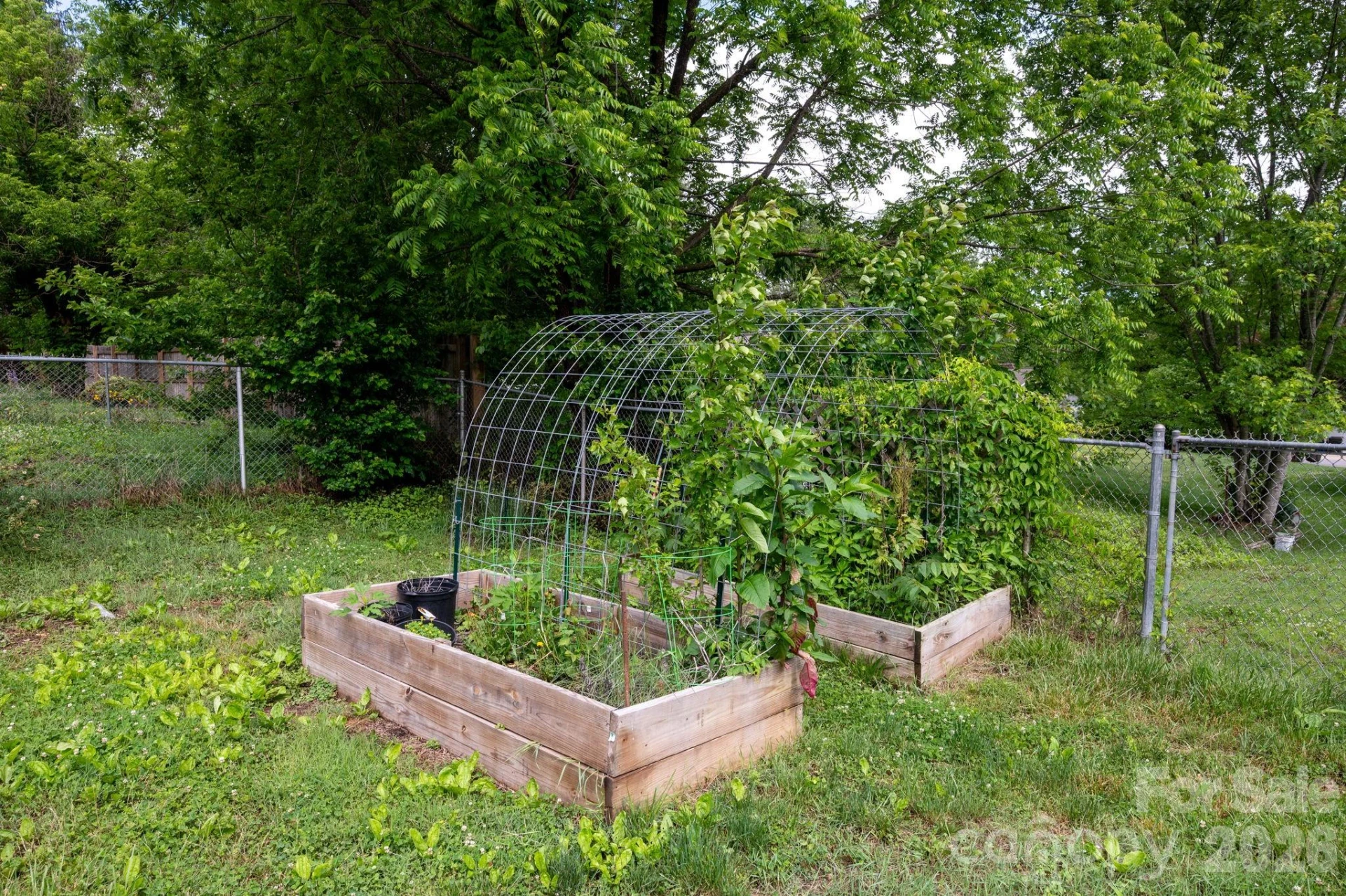 65 Farley Street - Photo 19