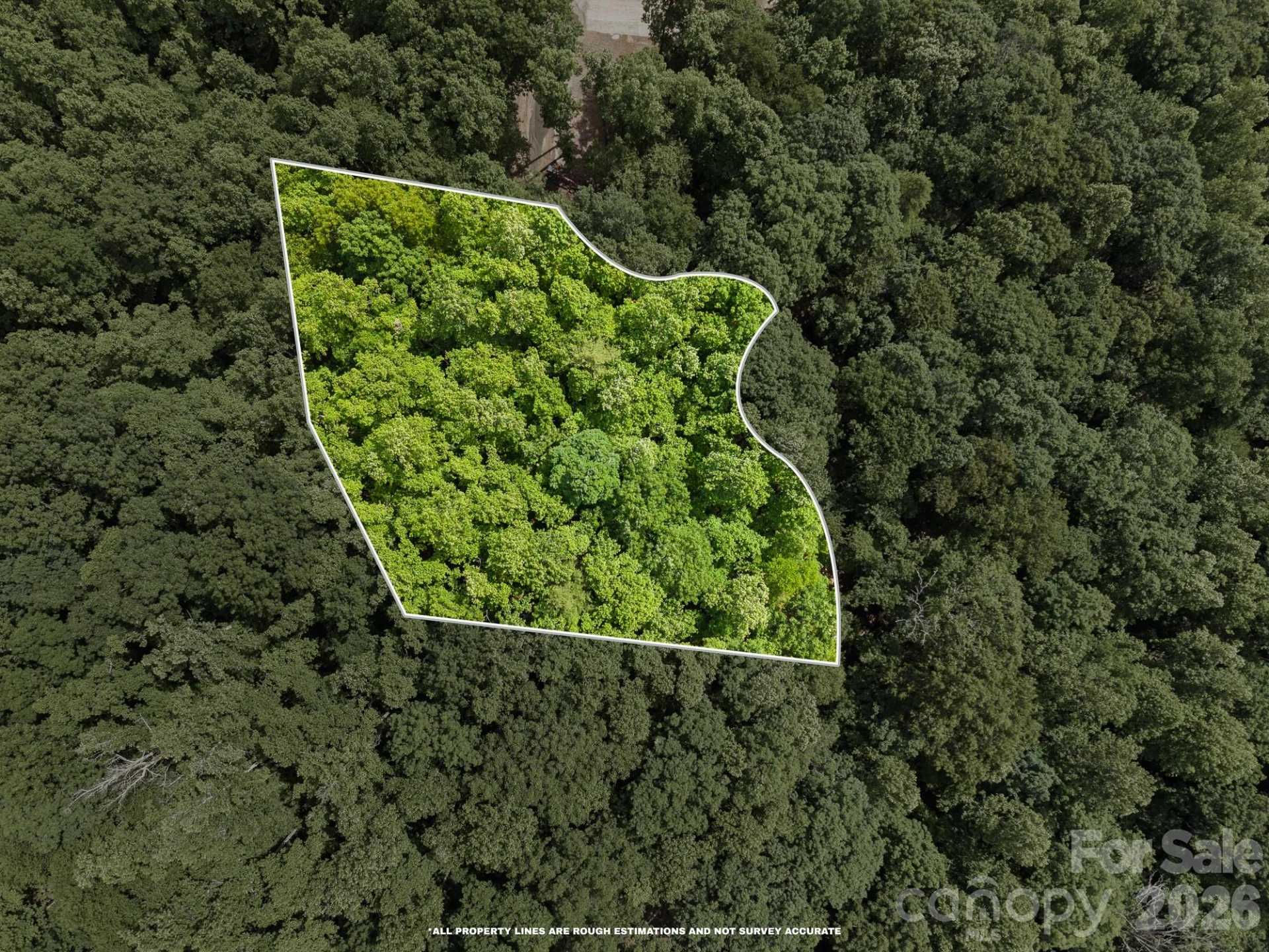 145 Hickory Tree Lane - Photo 6