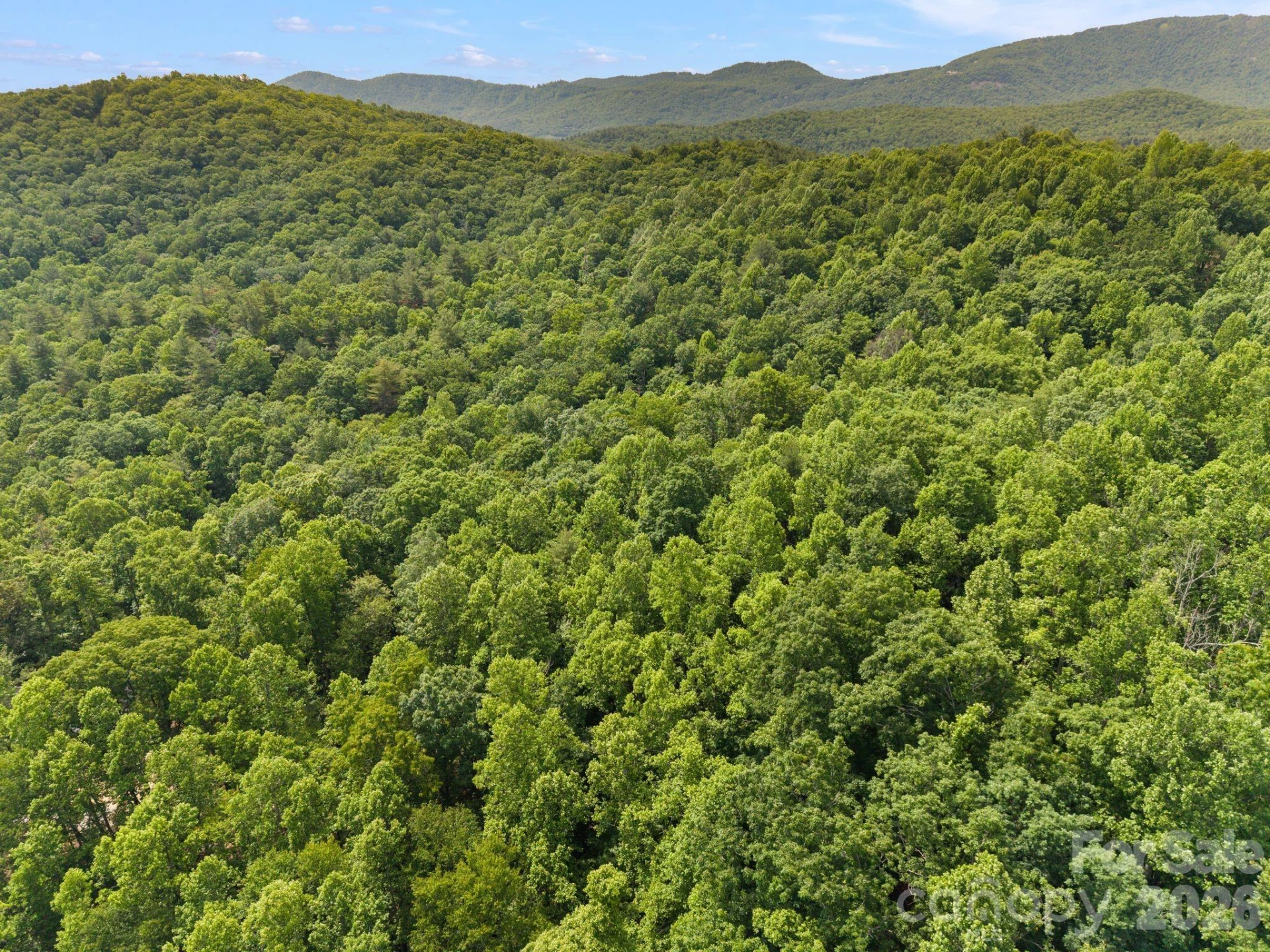 145 Hickory Tree Lane - Photo 7