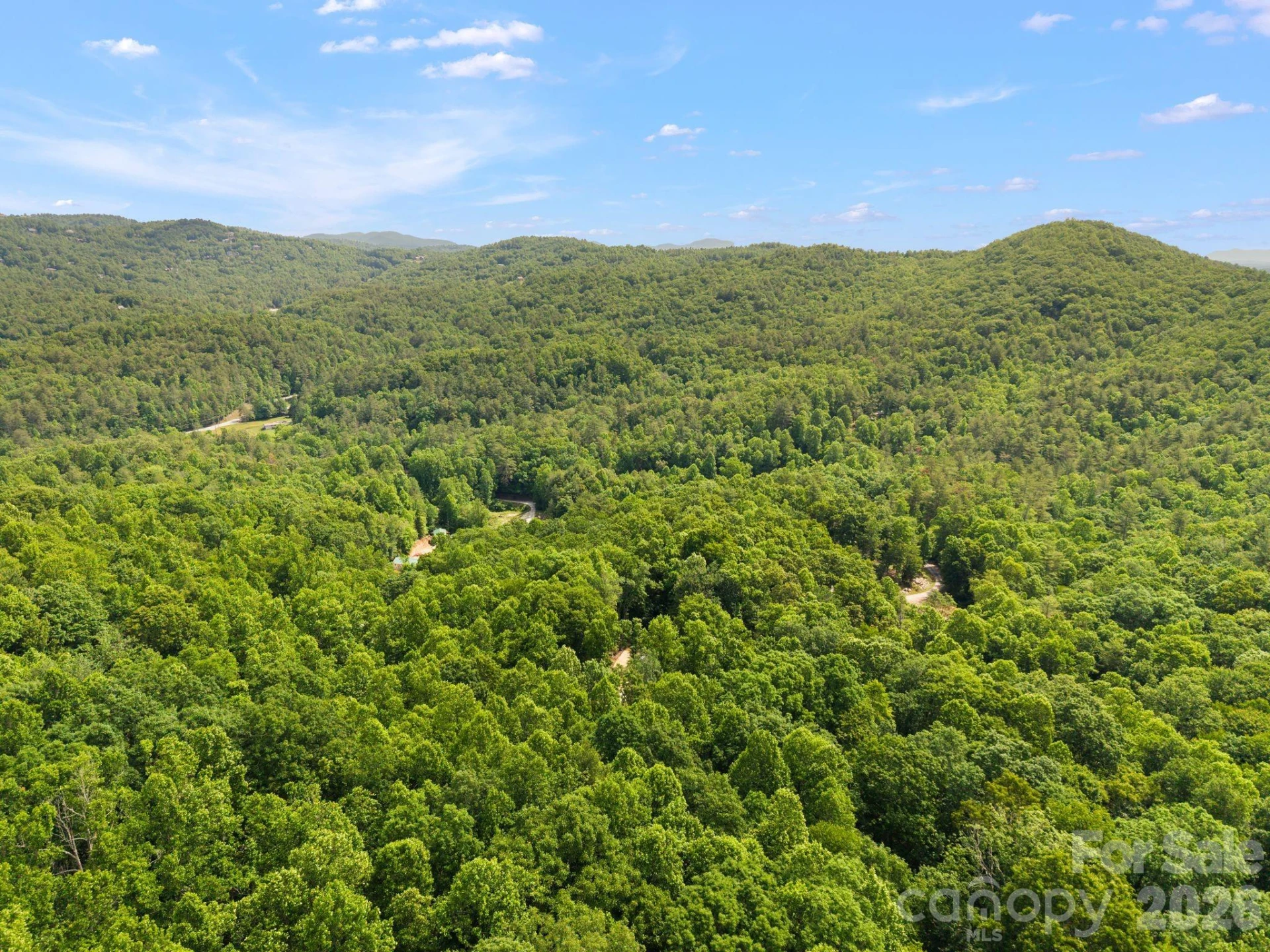 145 Hickory Tree Lane - Photo 8