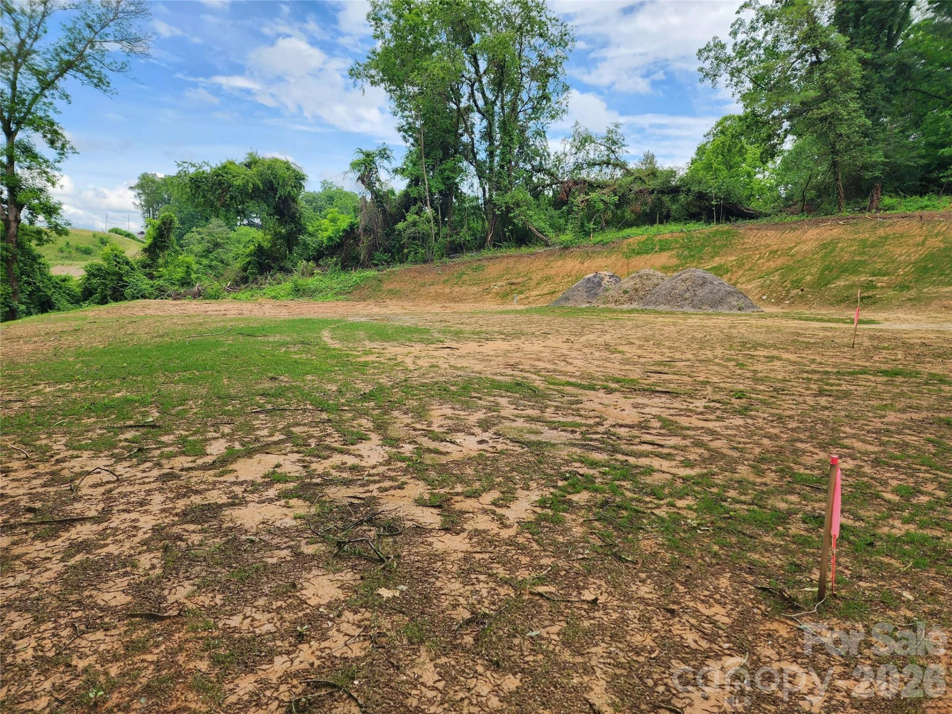 99999 Bear Creek Road - Photo 3