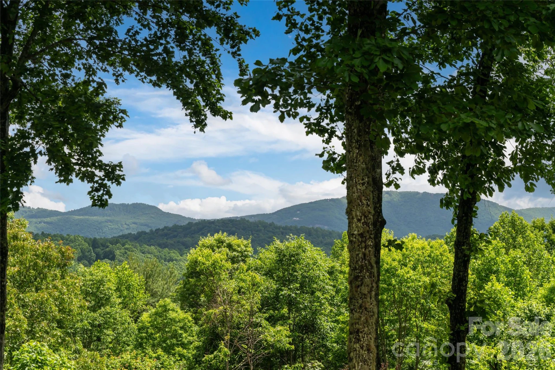 305 Piney Knoll Lane - Photo 23