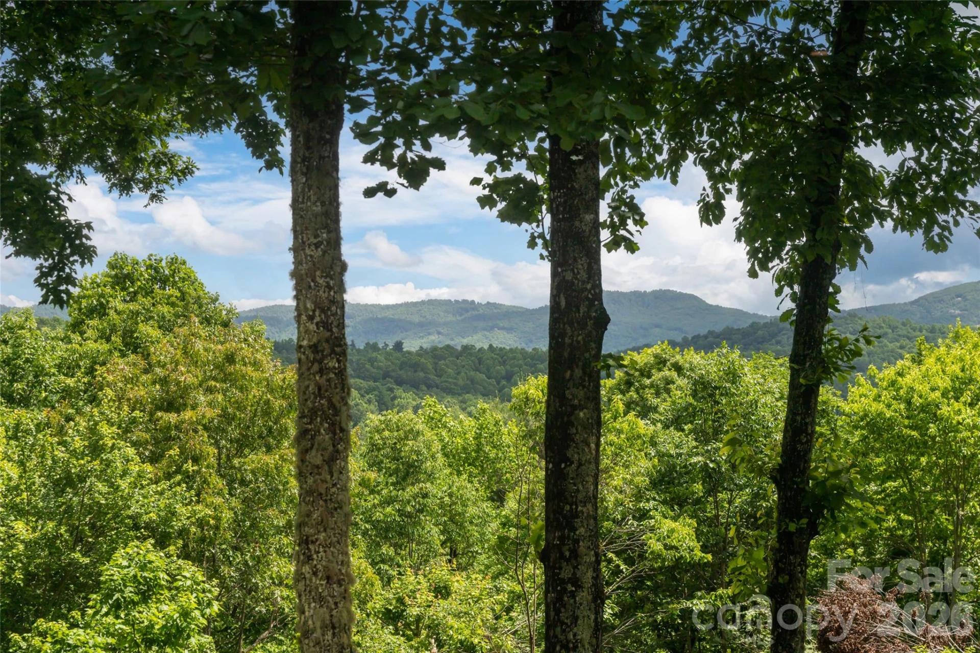 305 Piney Knoll Lane - Photo 25