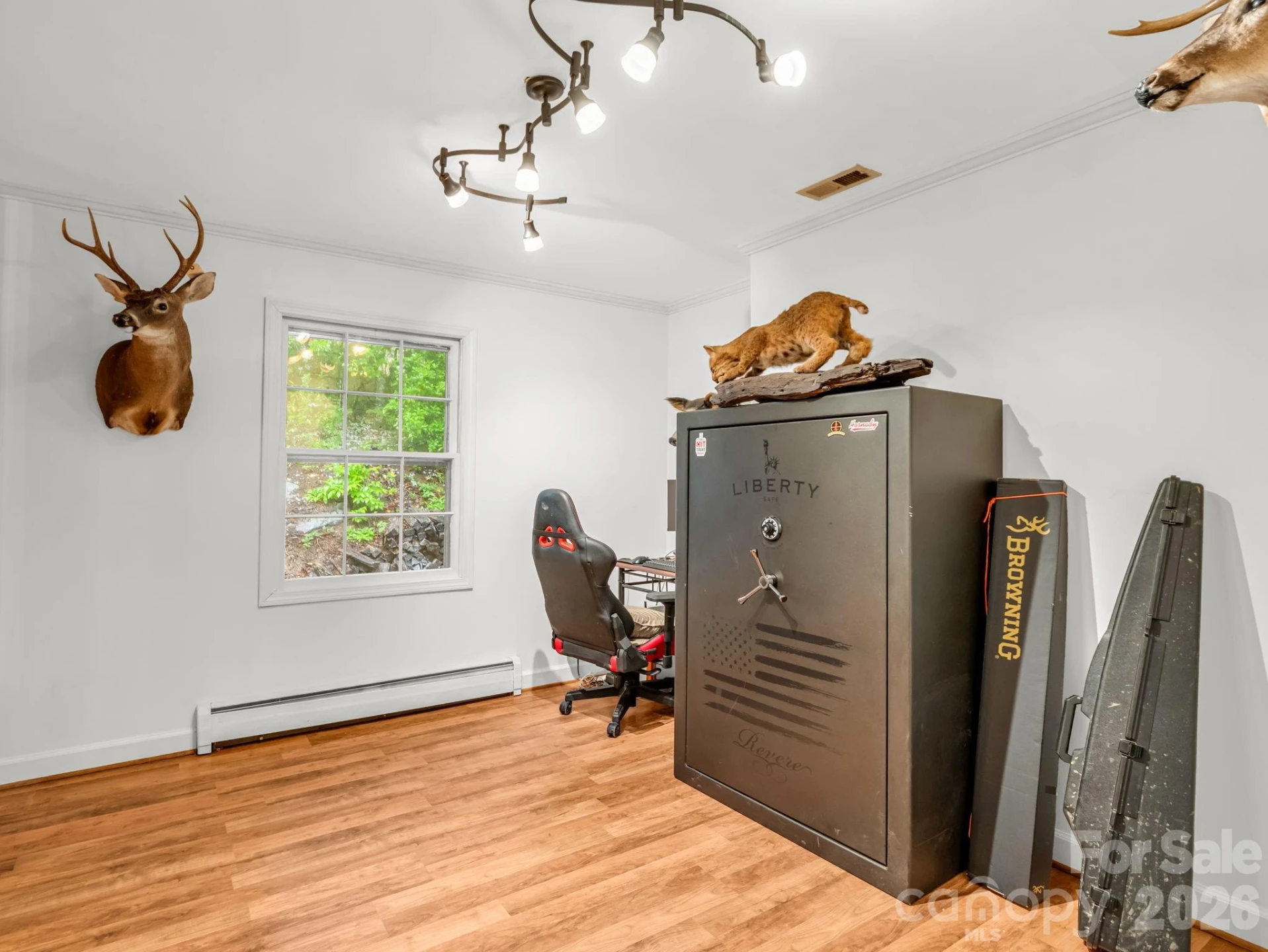 679 Solomon Jones Road - Photo 12