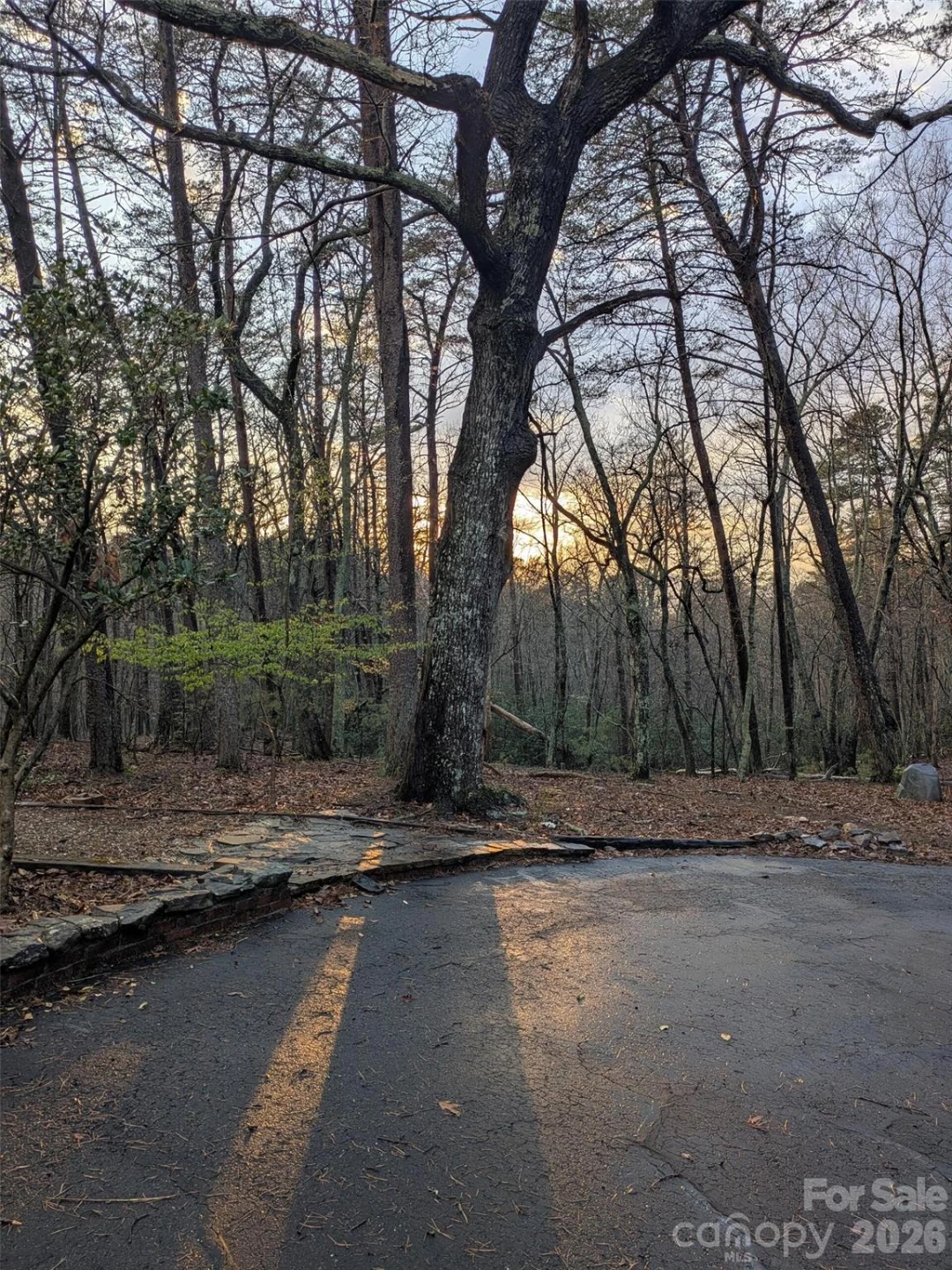675 Fox Run Lane - Photo 31