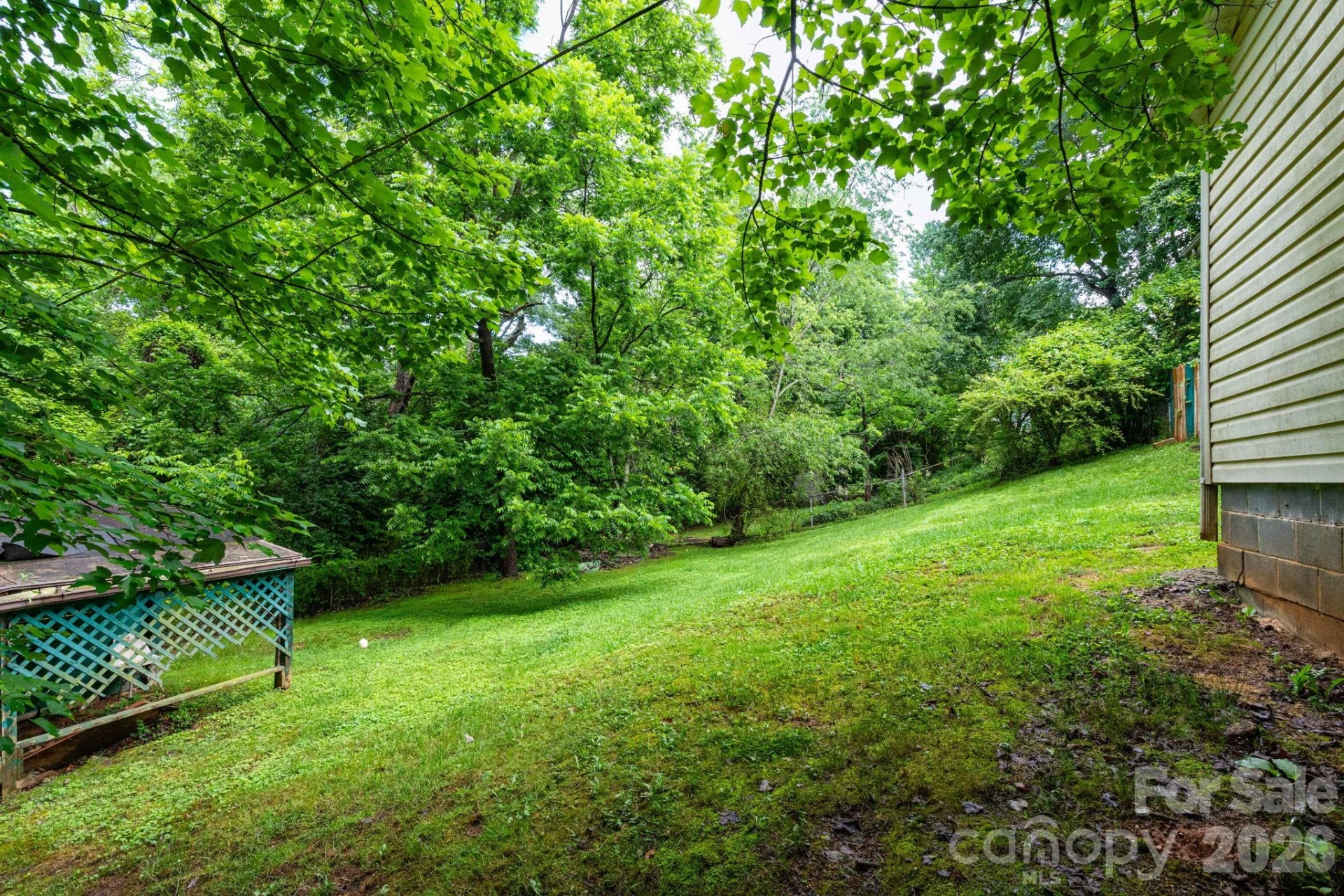 71 Cub Road - Photo 5