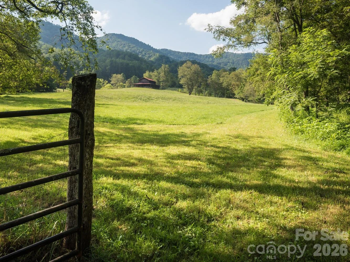 741 Morrow Branch Road - Photo 2