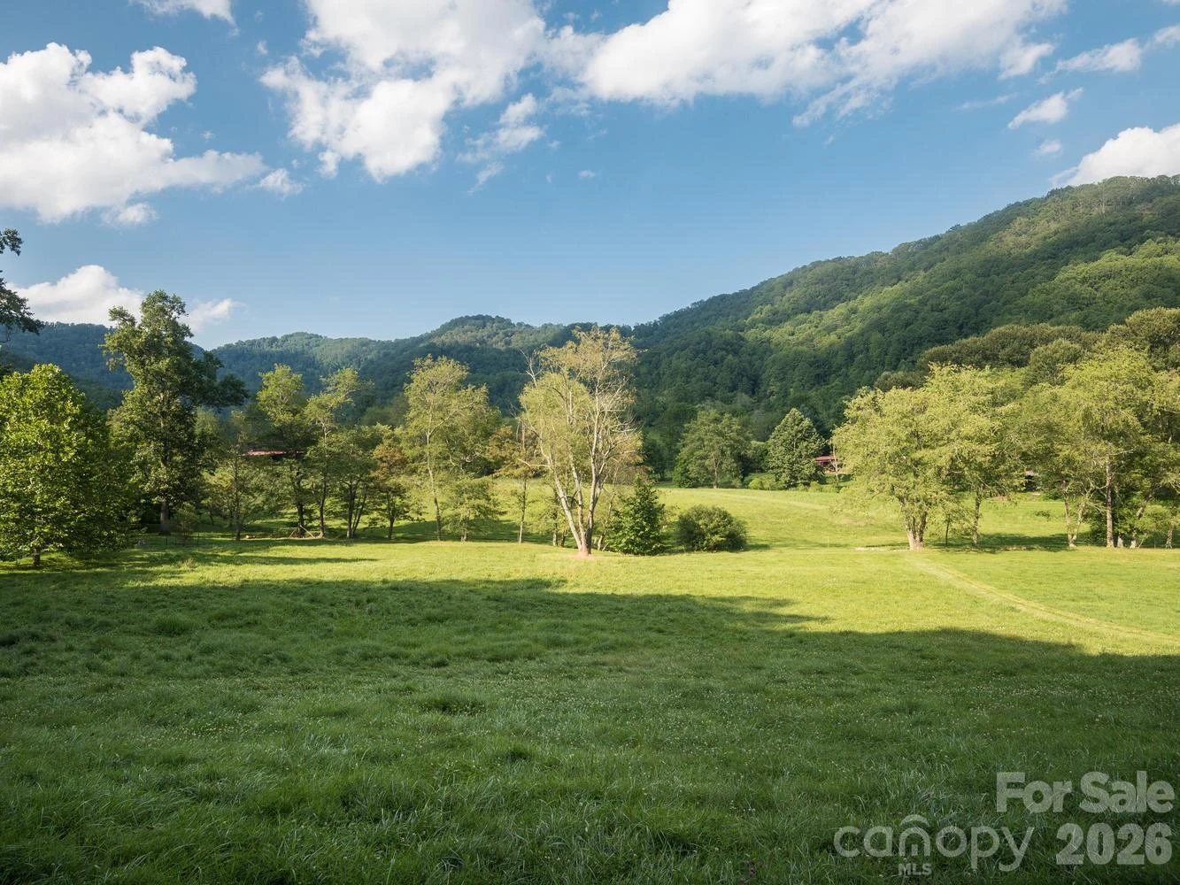741 Morrow Branch Road - Photo 3