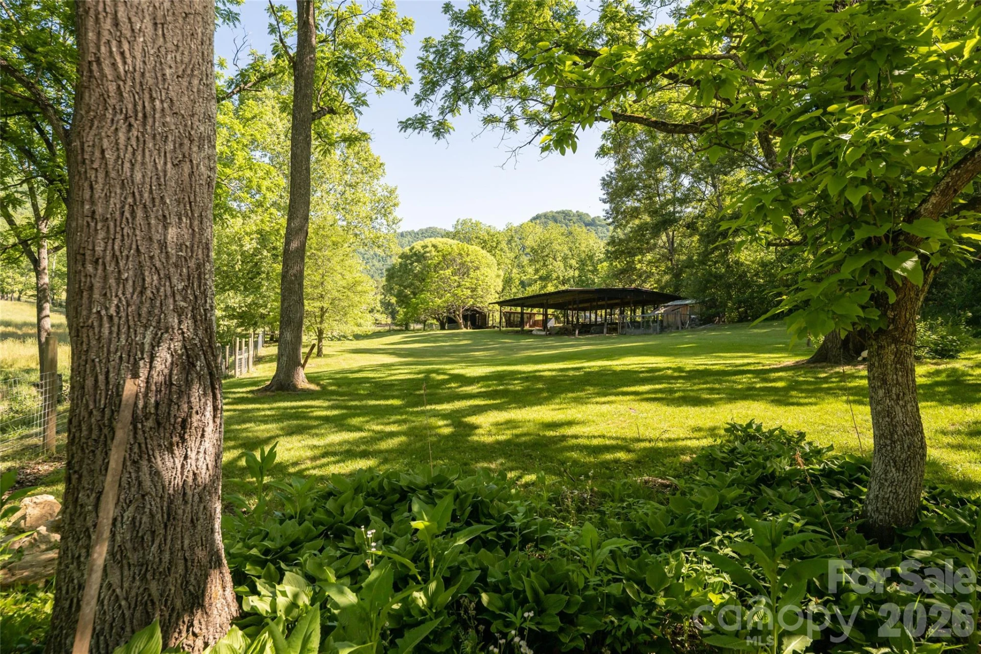 741 Morrow Branch Road - Photo 4