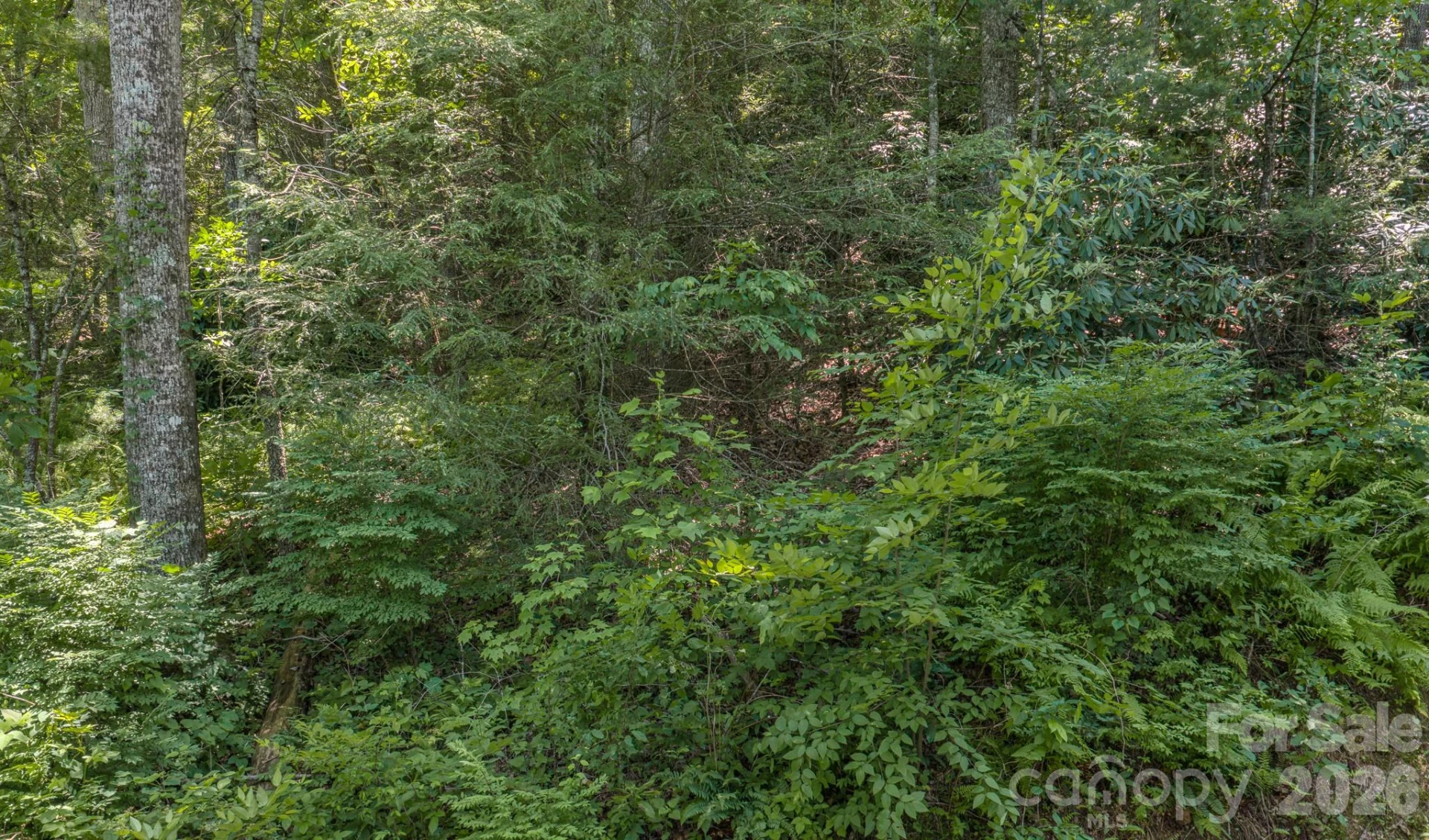 00 Woodlyn Etch Drive - Photo 6