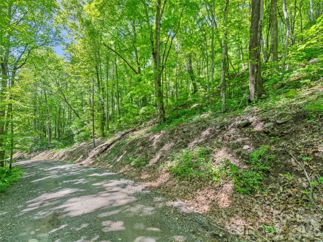 00 Rustic Road
