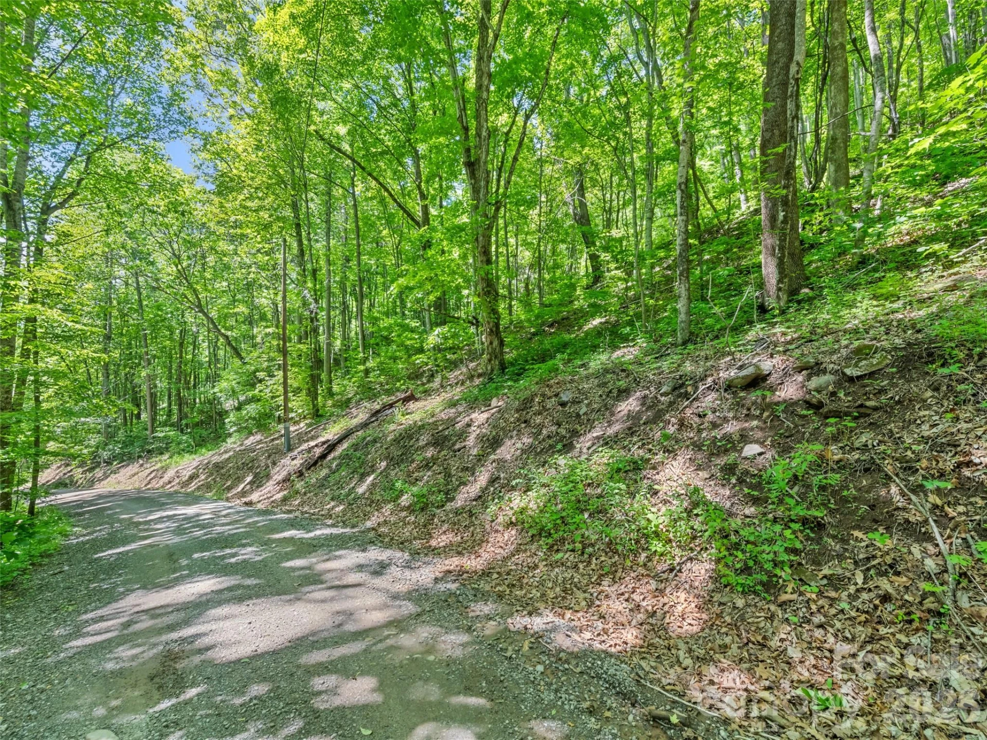 00 Rustic Road