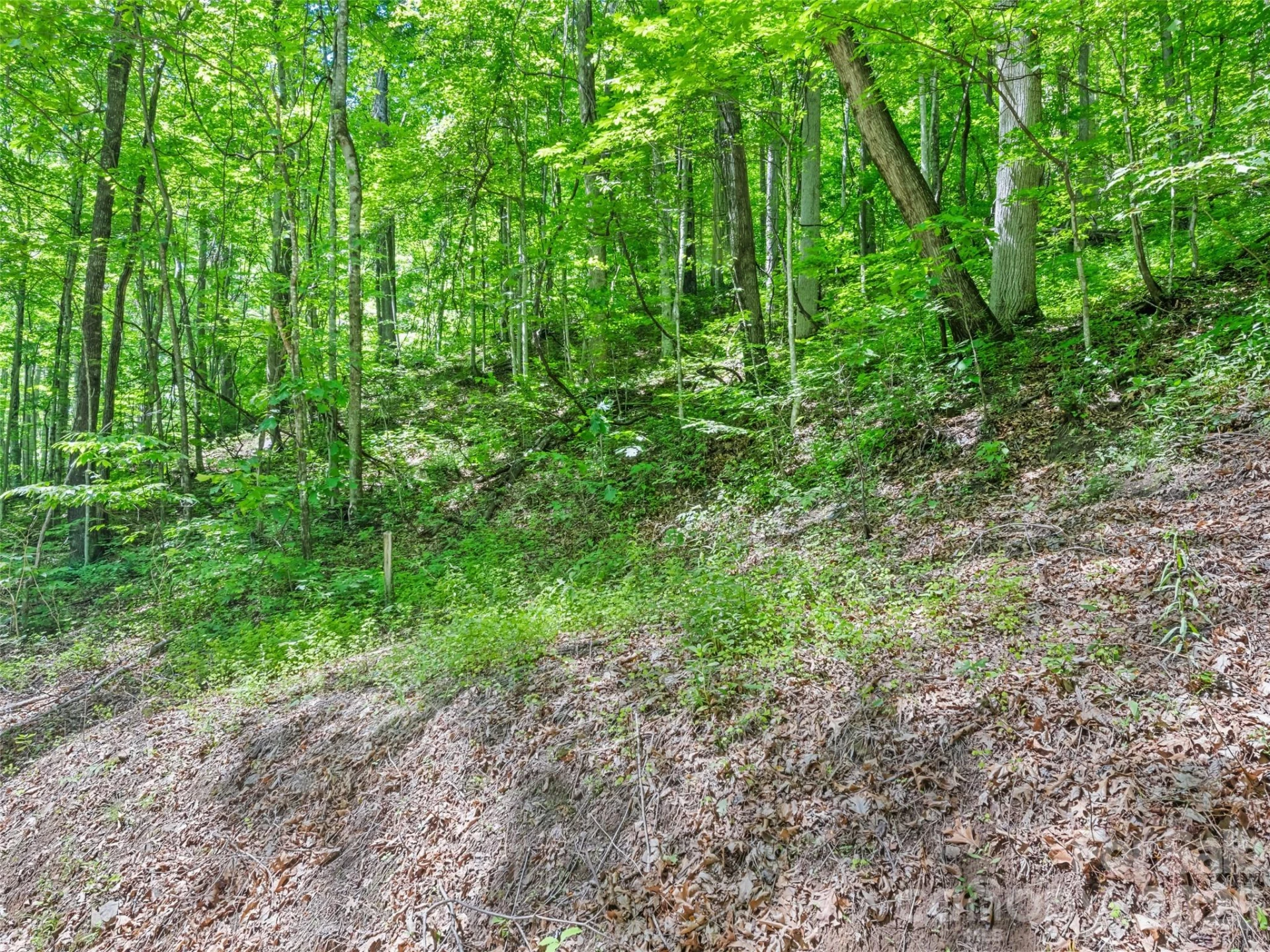 00 Rustic Road - Photo 2