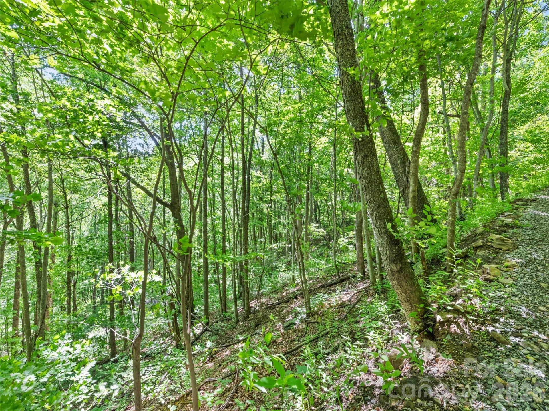 00 Rustic Road - Photo 4