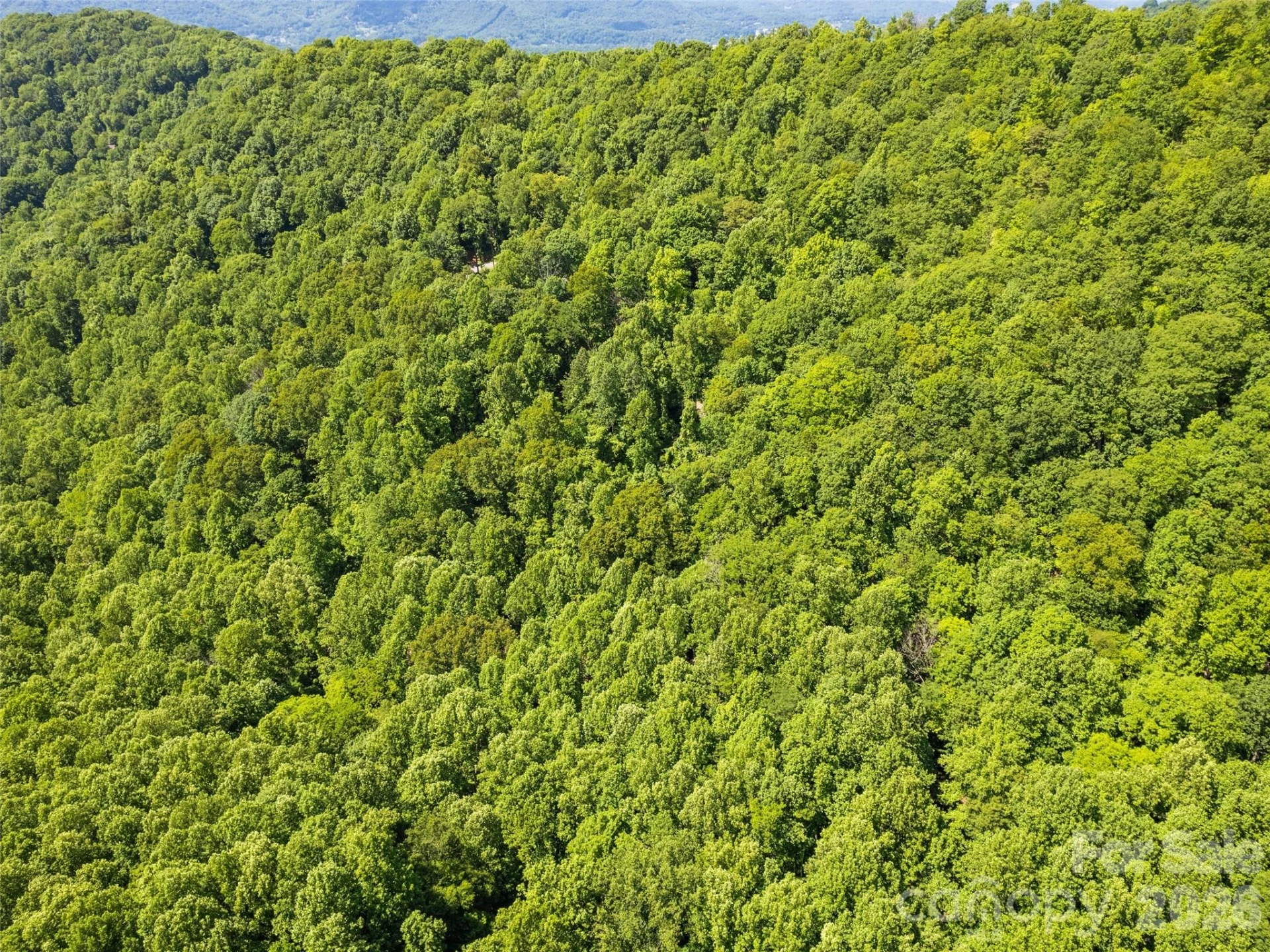 00 Rustic Road - Photo 6