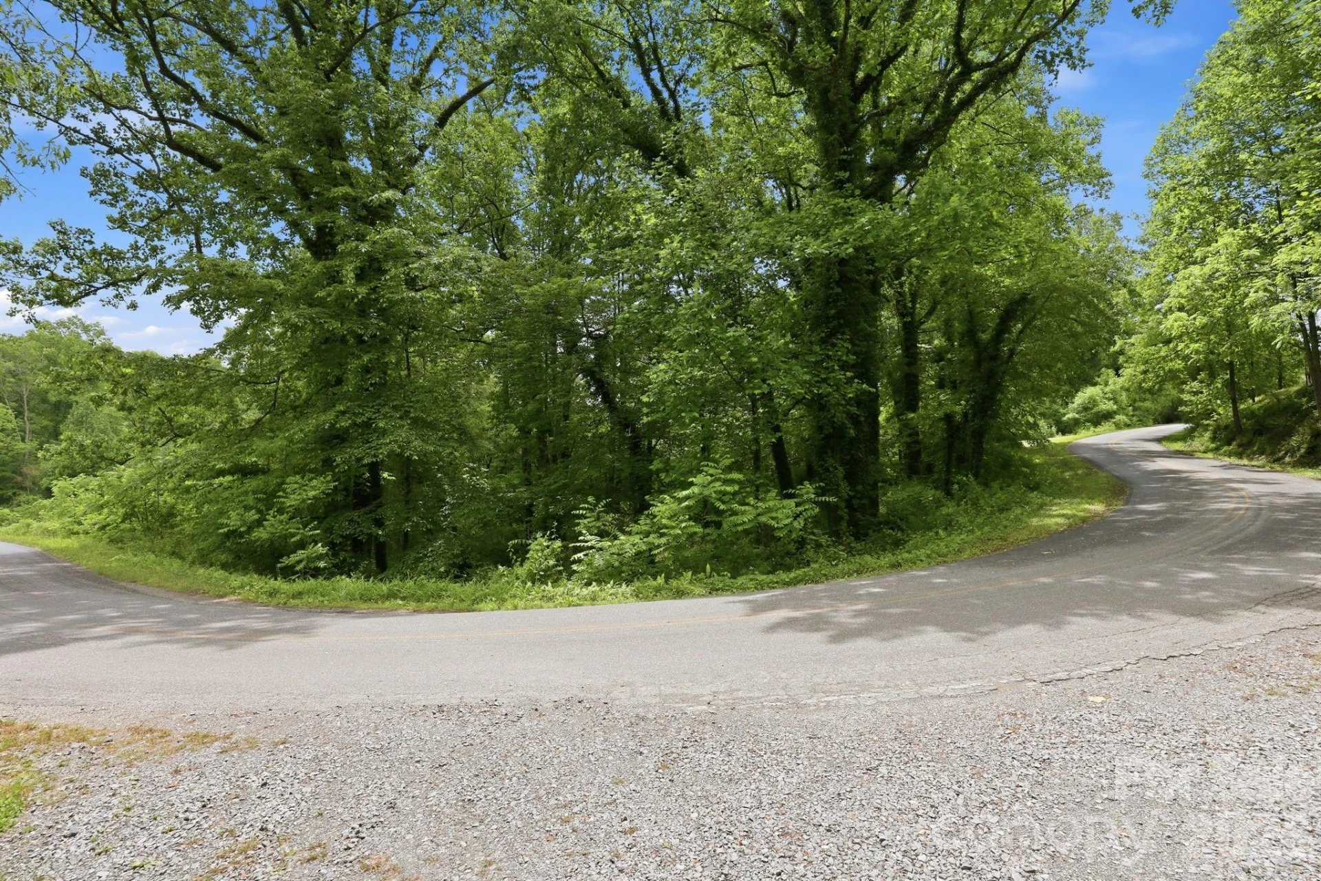 TBD Tract C Pole Miller Extension #Tract C - Photo 23
