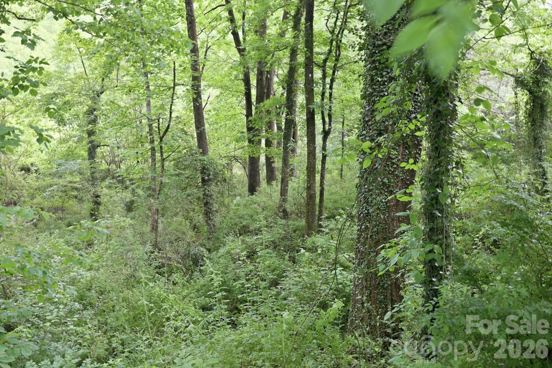 TBD Tract C Pole Miller Extension #Tract C - Photo 25