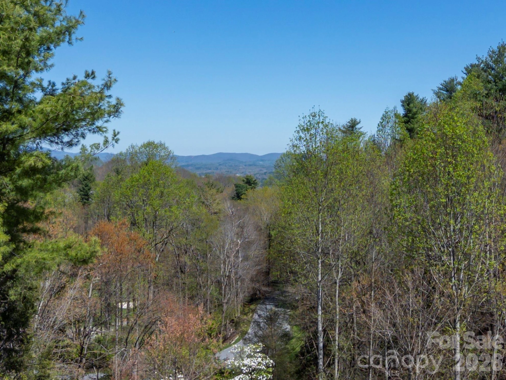 19 Lacoste Drive - Photo 37