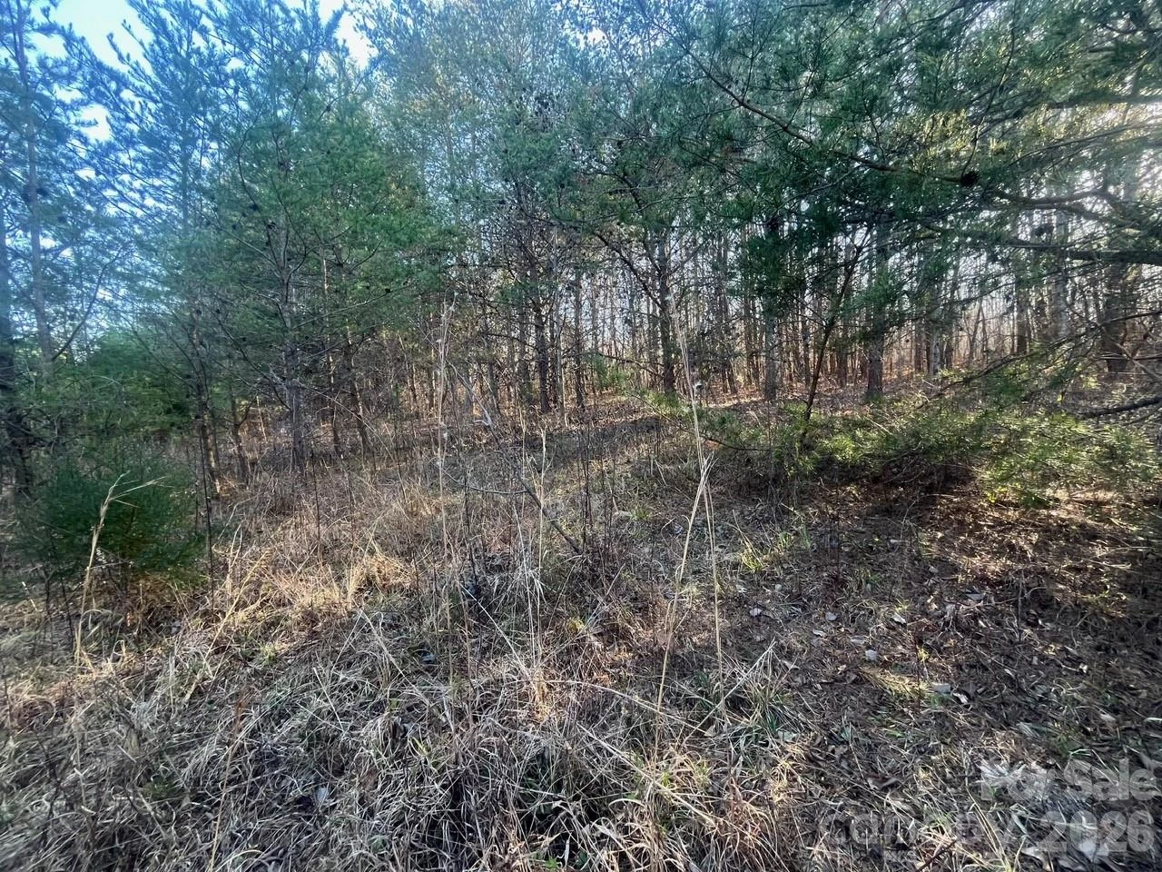 TBD Southern Way - Photo 14