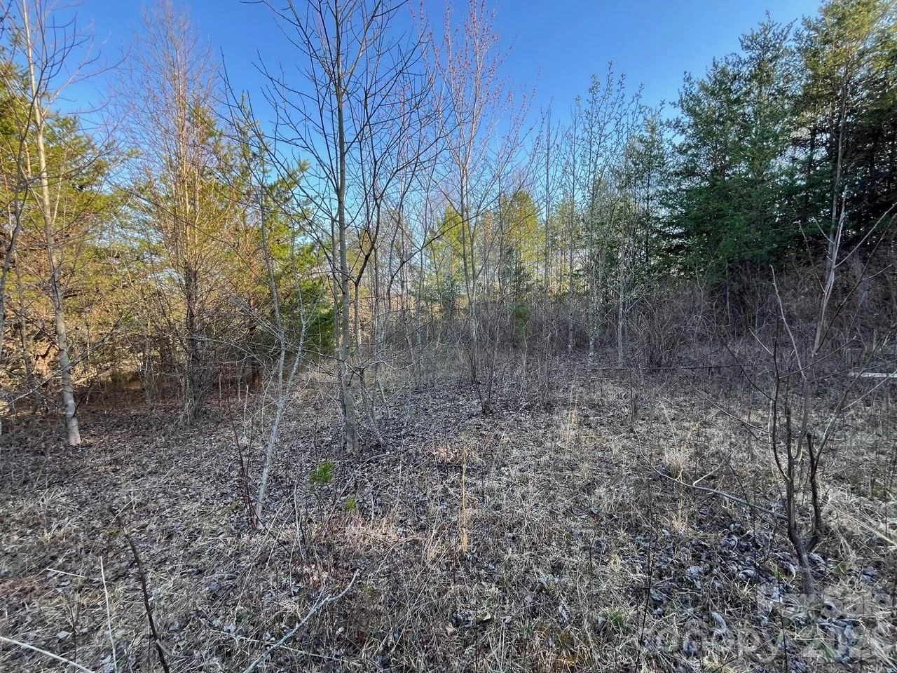 TBD Southern Way - Photo 16