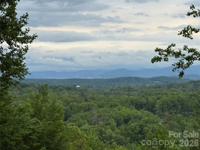 16 Ridge Pine Trail, Arden, NC, 28704