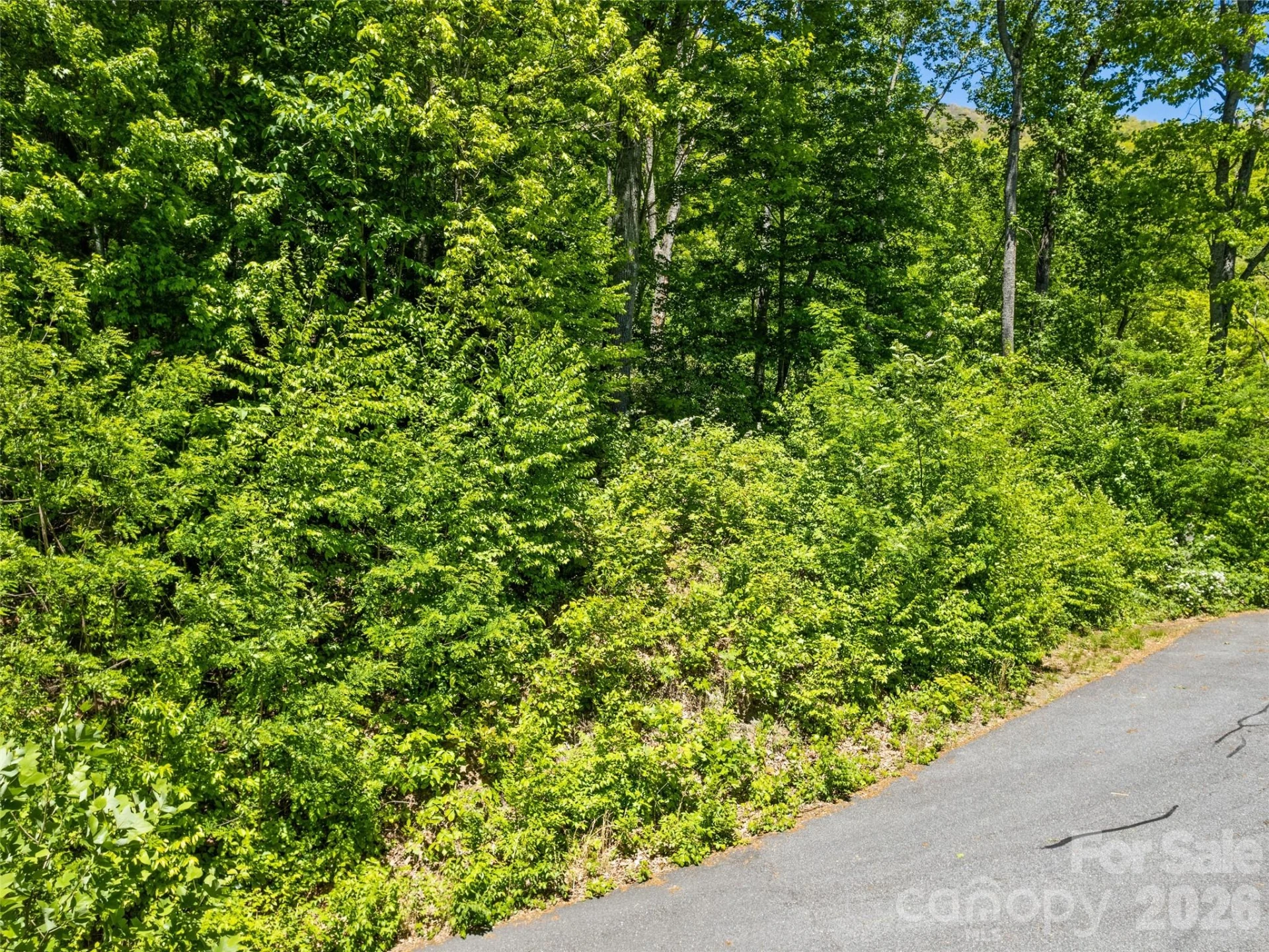 00 Triple Creek Drive #43 - Photo 4