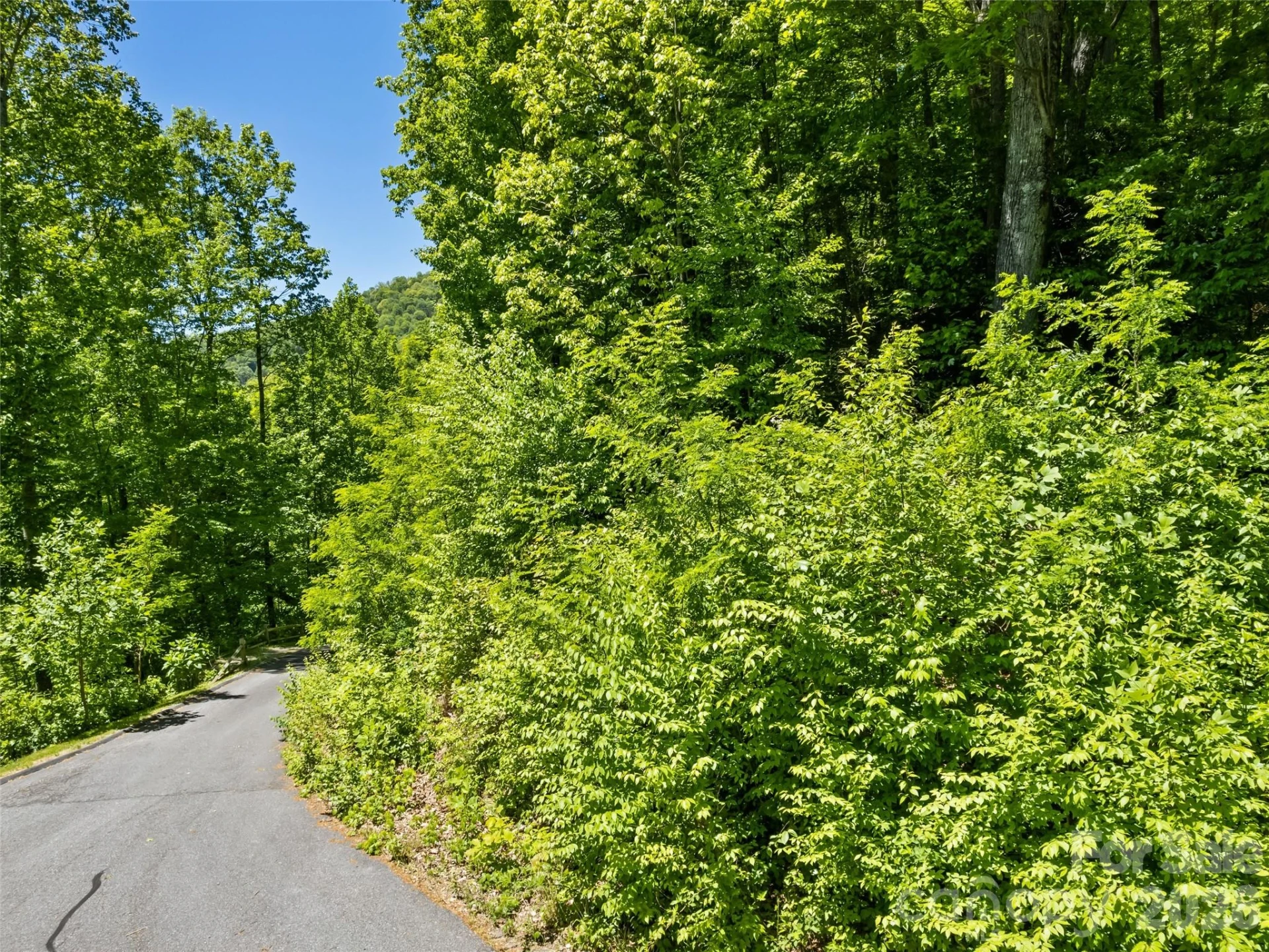 00 Triple Creek Drive #43 - Photo 5