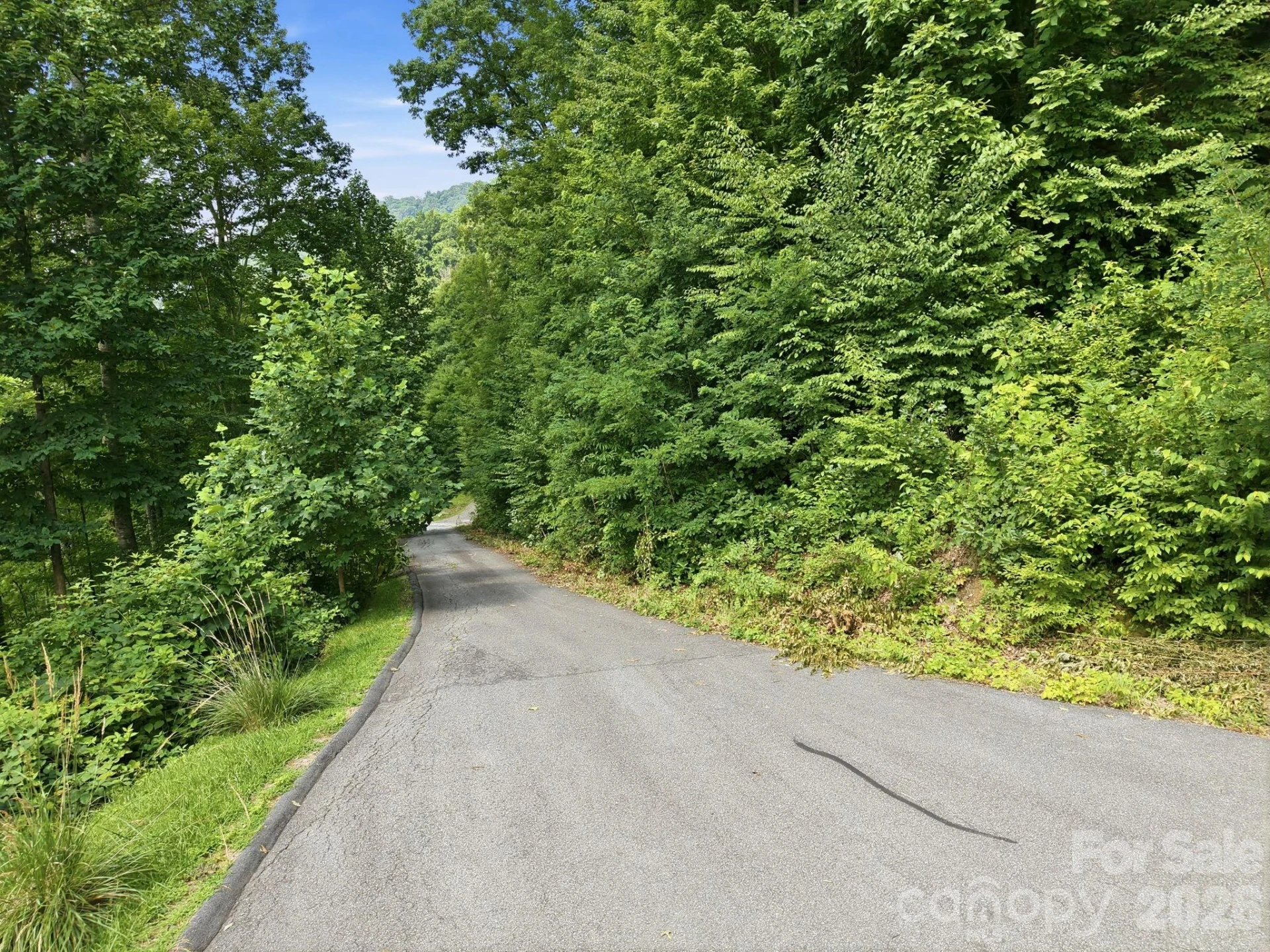 00 Triple Creek Drive #43 - Photo 7