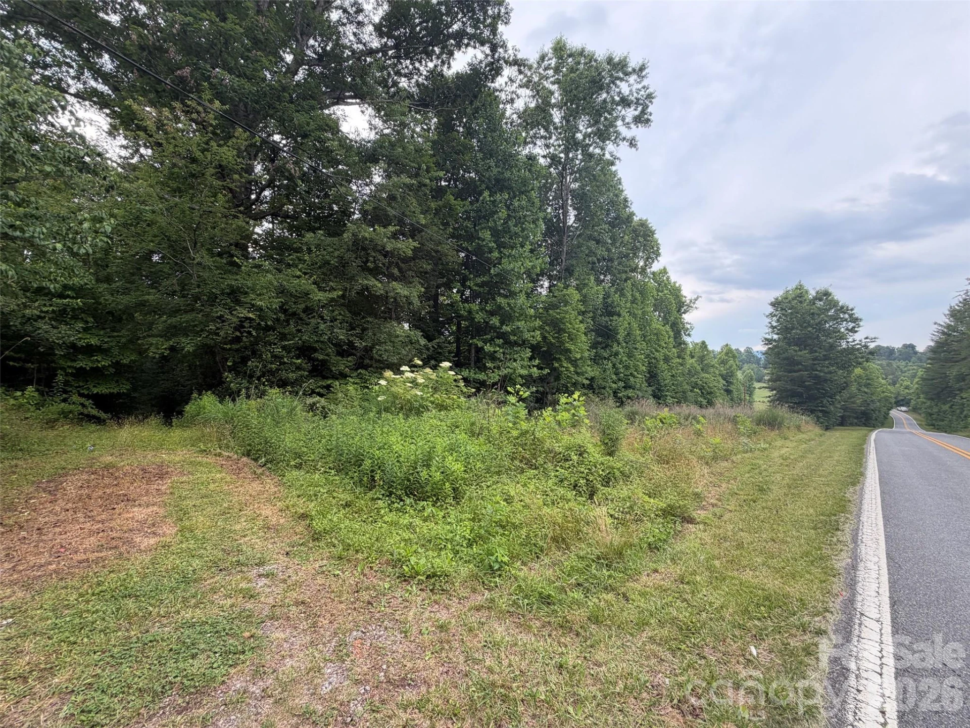 Lot 1 Parker Padgett Road - Photo 2