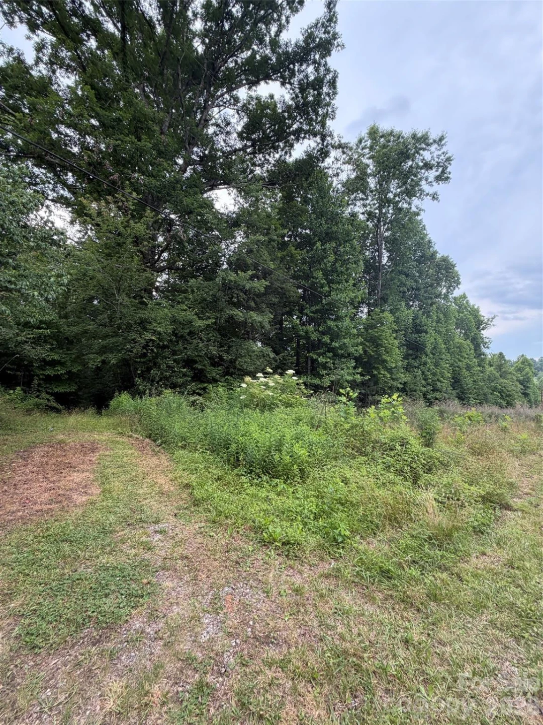 Lot 1 Parker Padgett Road - Photo 3