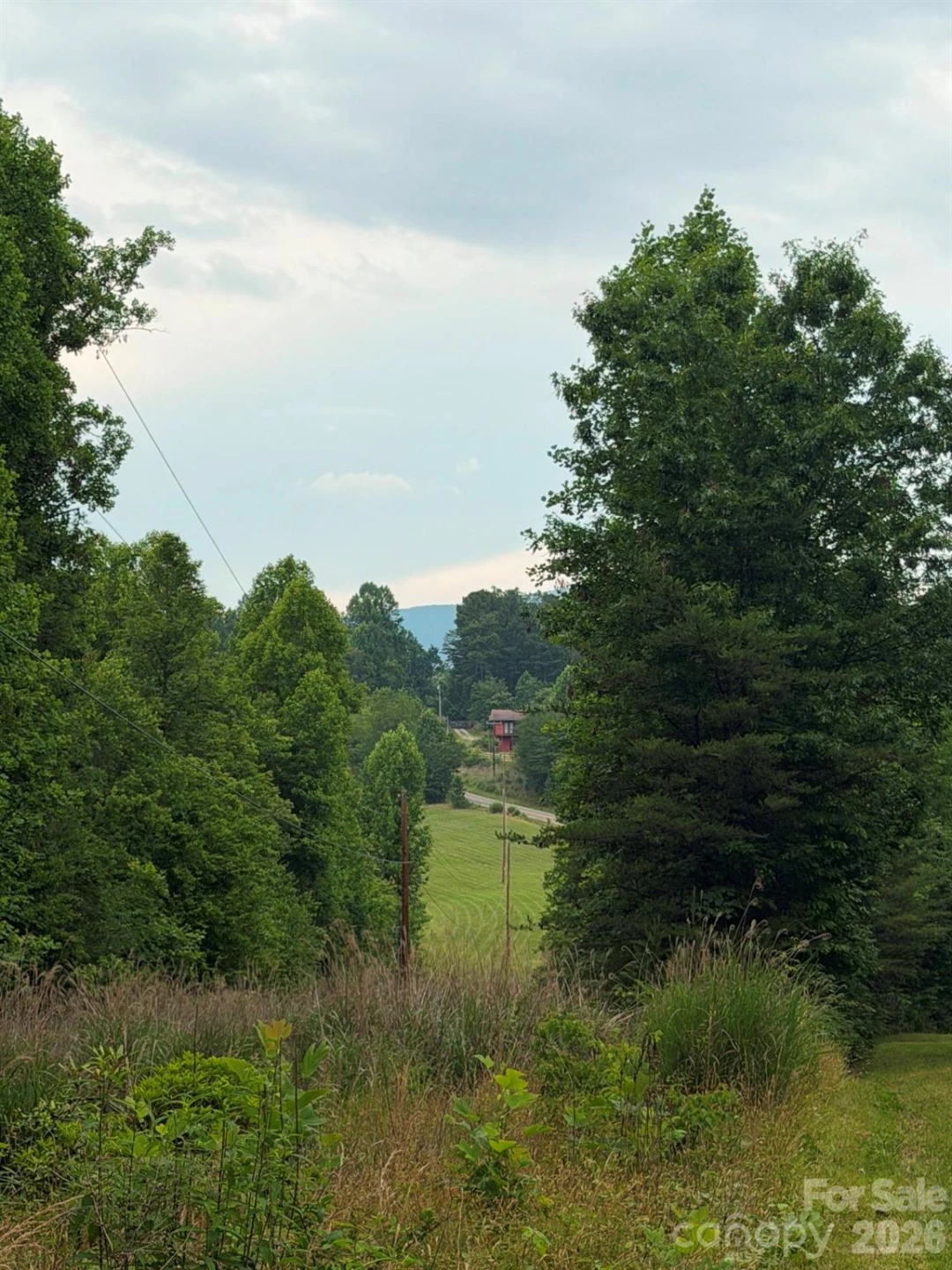 Lot 1 Parker Padgett Road - Photo 5