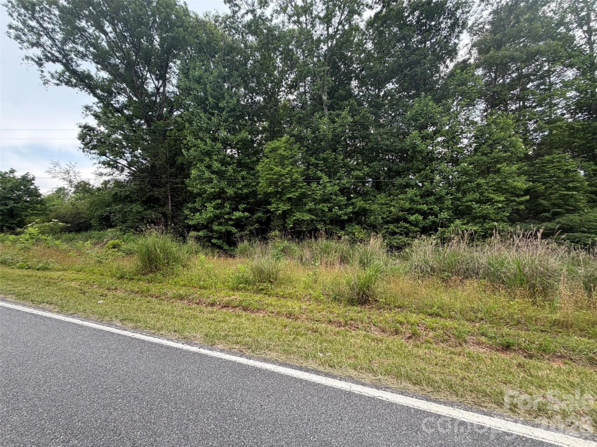 Lot 1 Parker Padgett Road - Photo 6