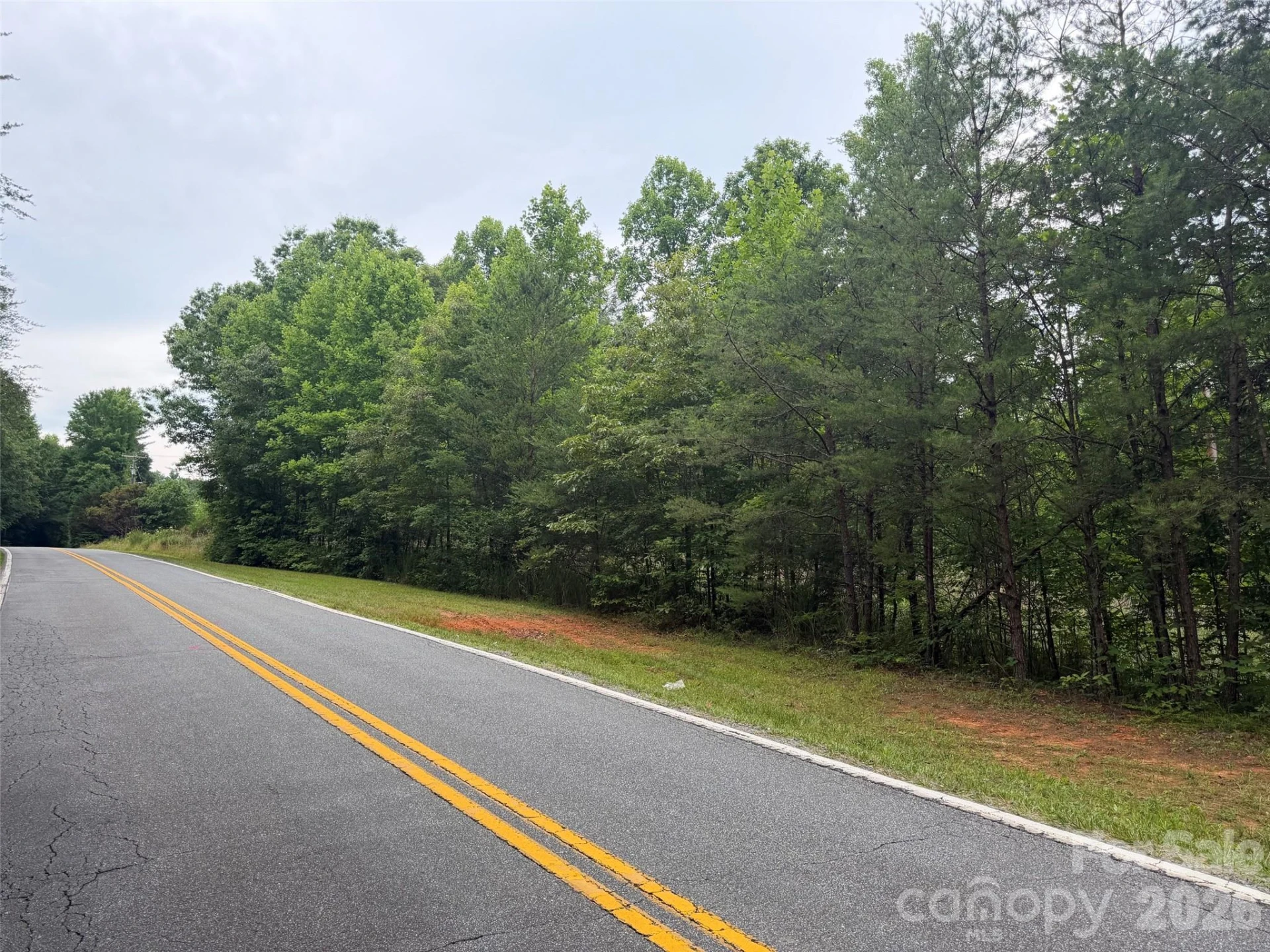 Lot 1 Parker Padgett Road - Photo 7