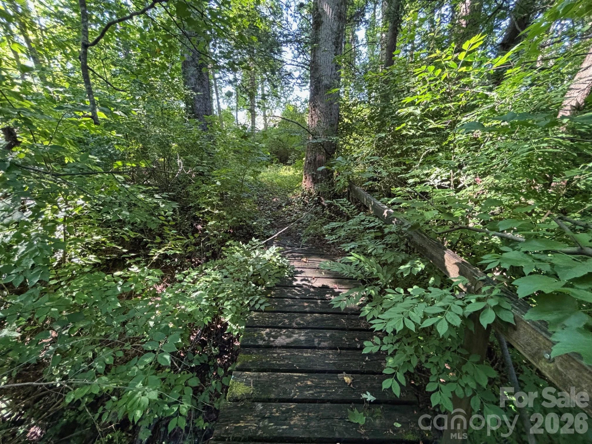 V/L Woodland Drive - Photo 8