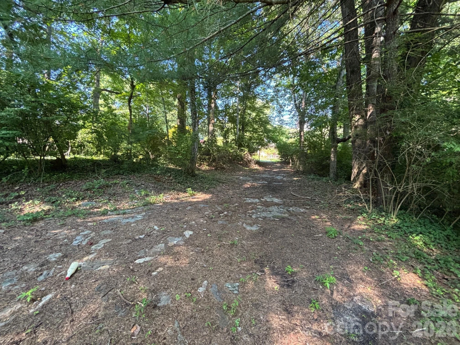 V/L Woodland Drive - Photo 9