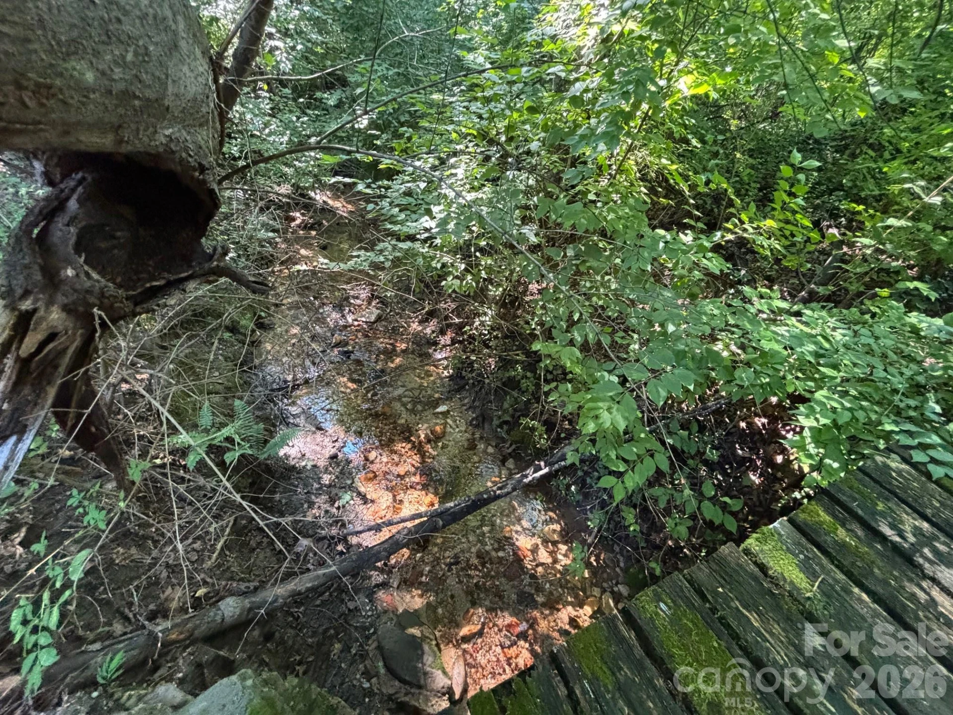 V/L Woodland Drive - Photo 10