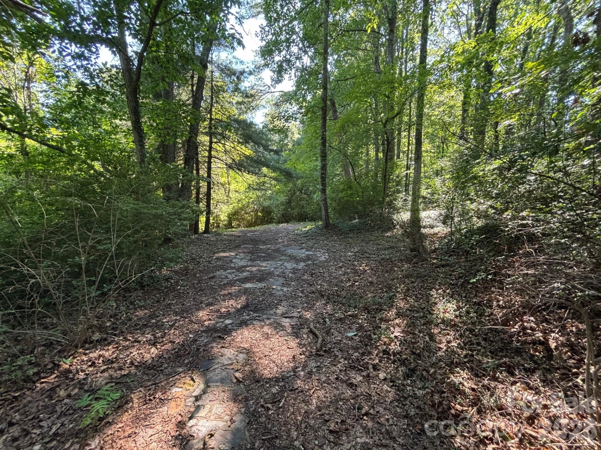 V/L Woodland Drive - Photo 12