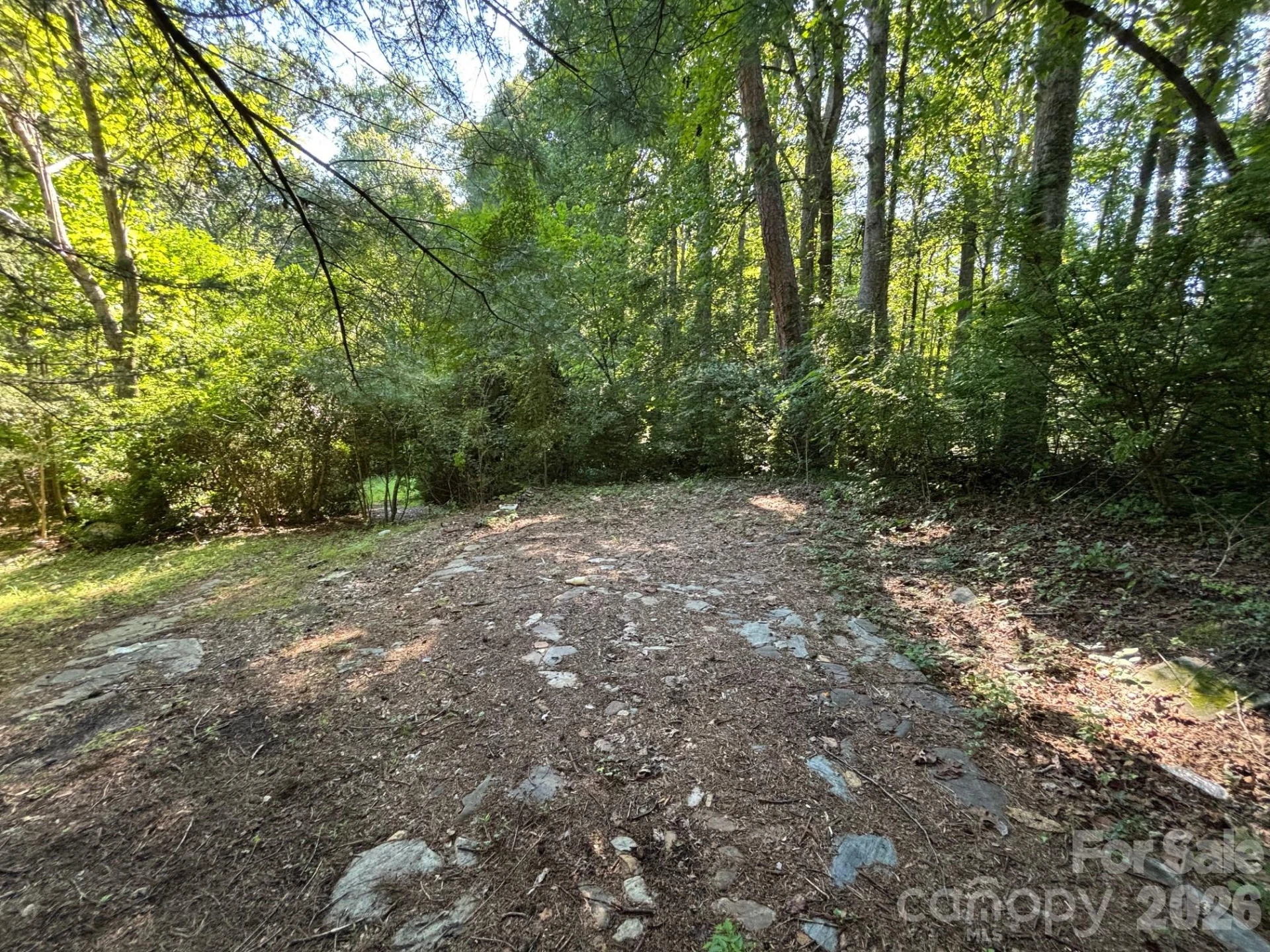 V/L Woodland Drive - Photo 13