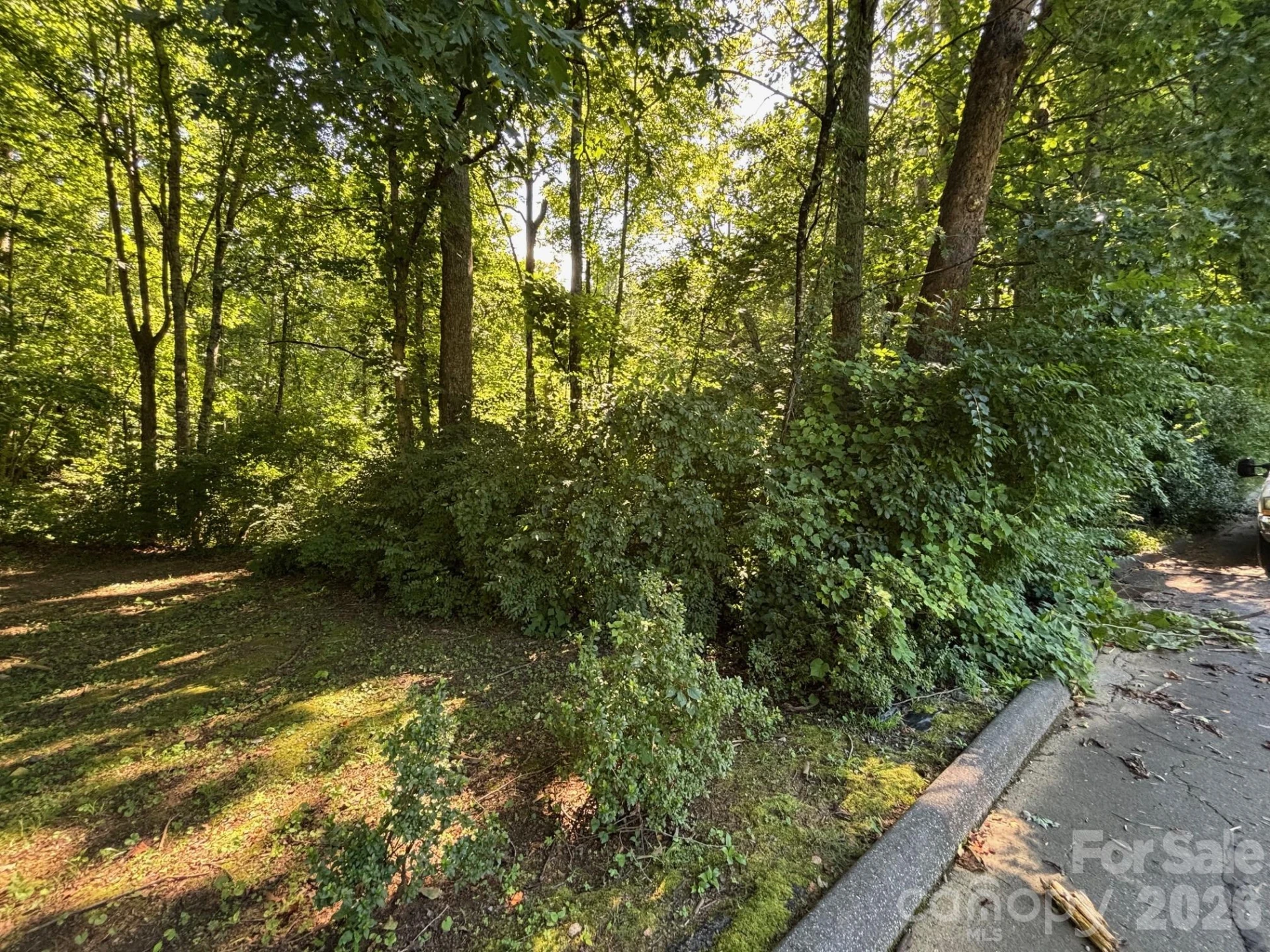 V/L Woodland Drive #1 - Photo 2