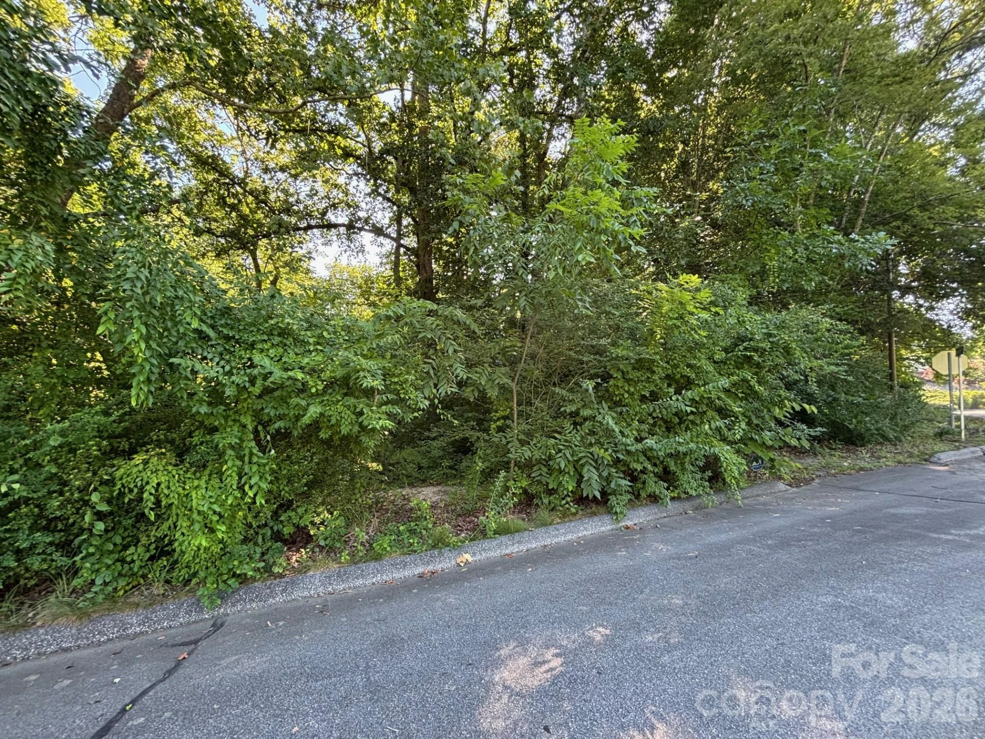 V/L Woodland Drive #1 - Photo 3