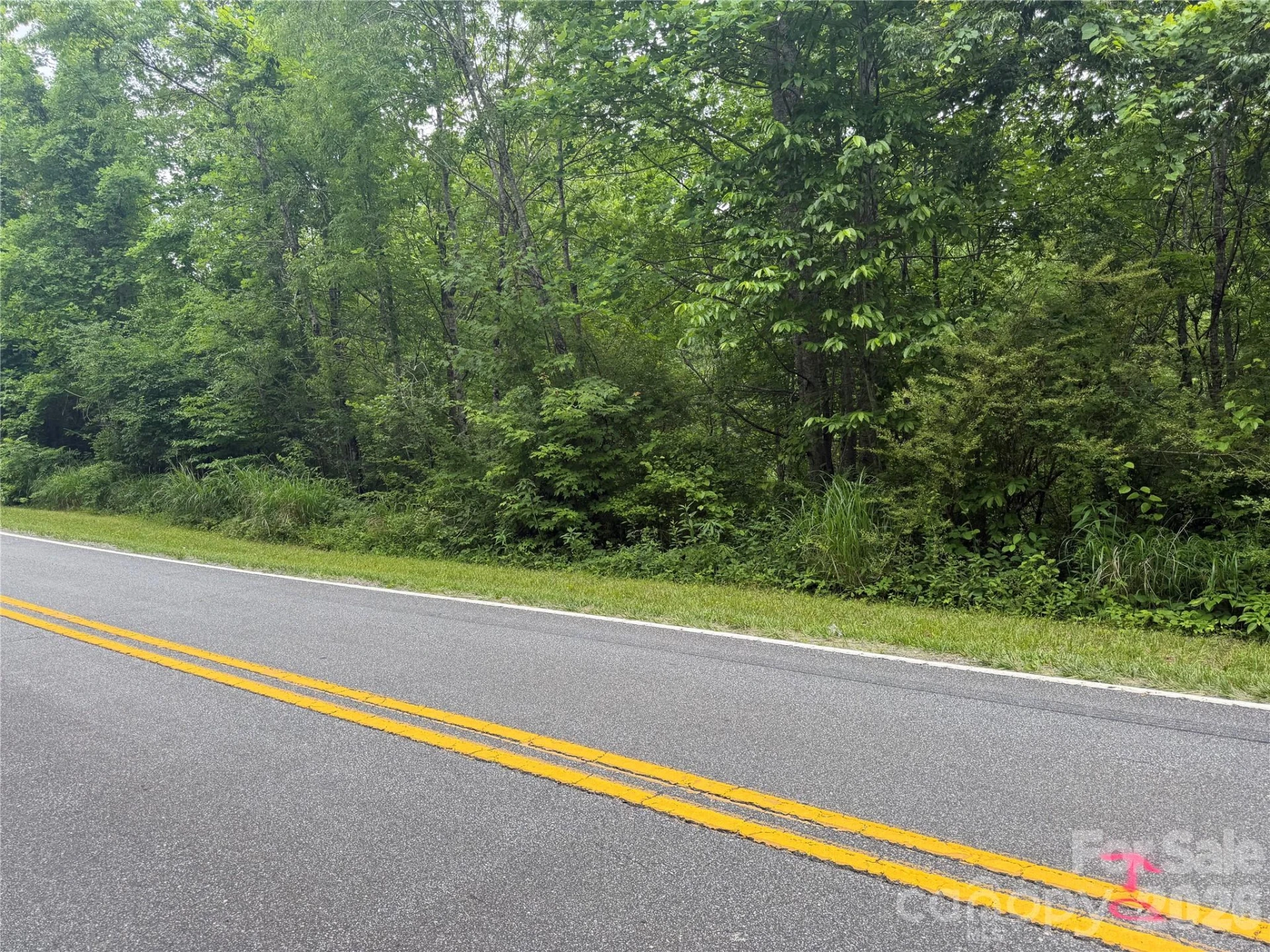 Lot 2 Parker Padgett Road - Photo 2