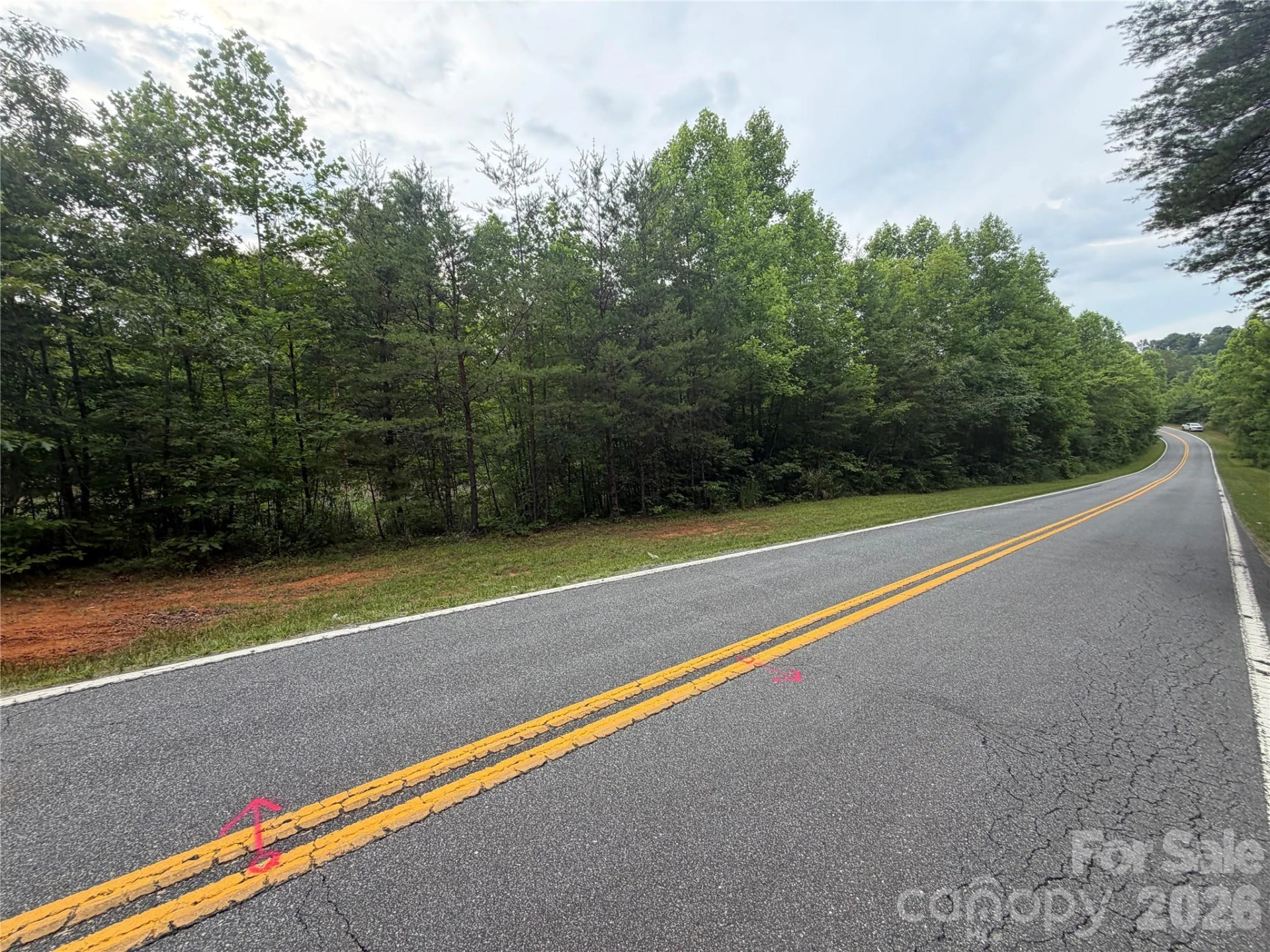 Lot 2 Parker Padgett Road - Photo 4