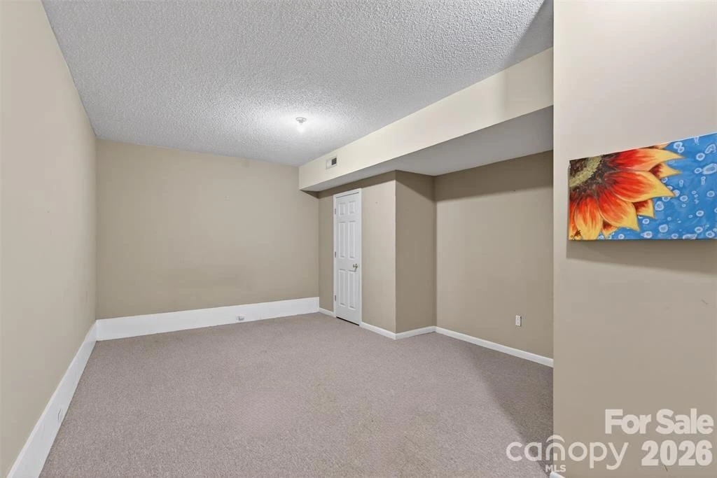 66 Misery Ridge None - Photo 32