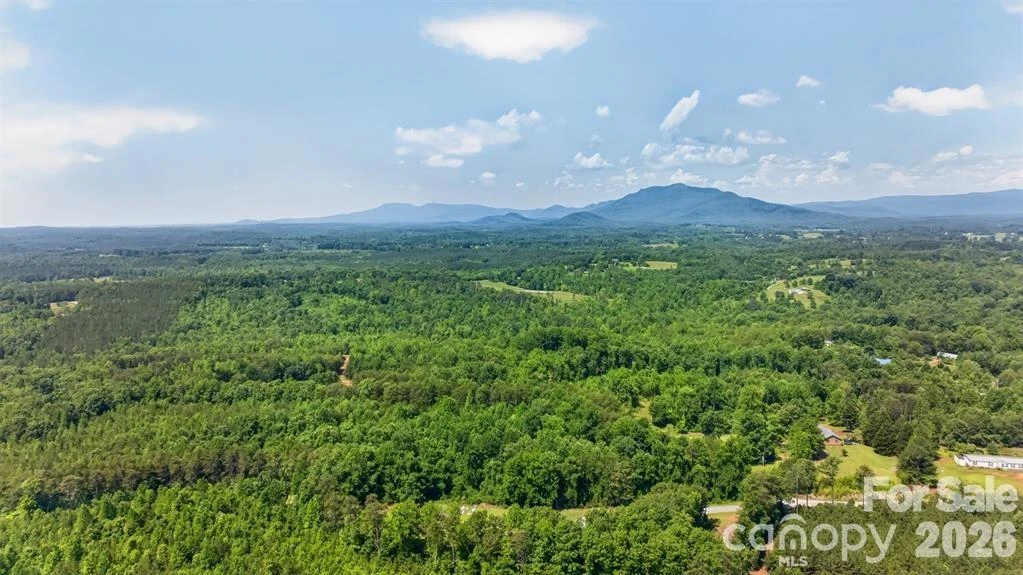 66 Misery Ridge None - Photo 36
