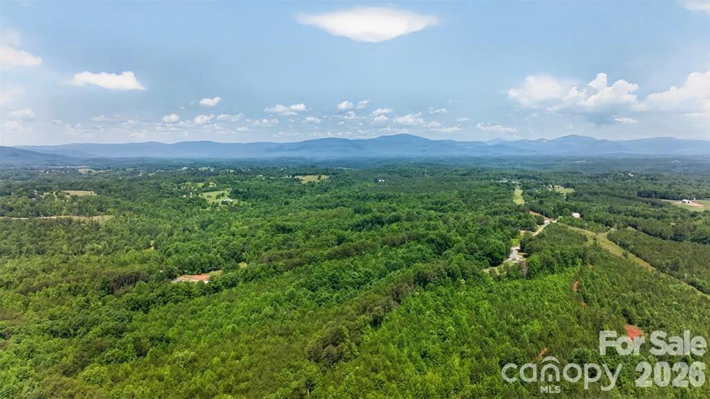 66 Misery Ridge None - Photo 38
