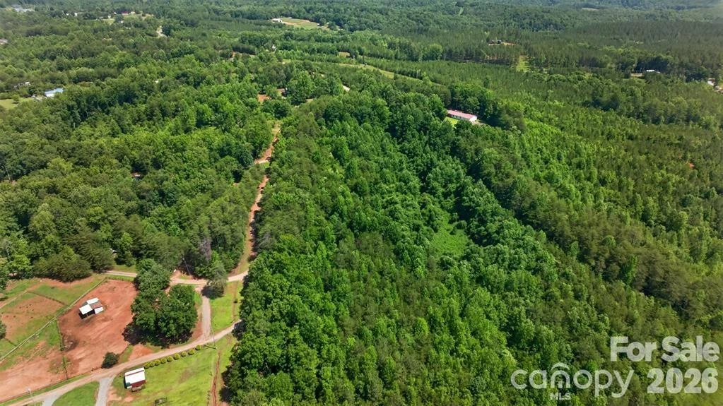66 Misery Ridge None - Photo 40