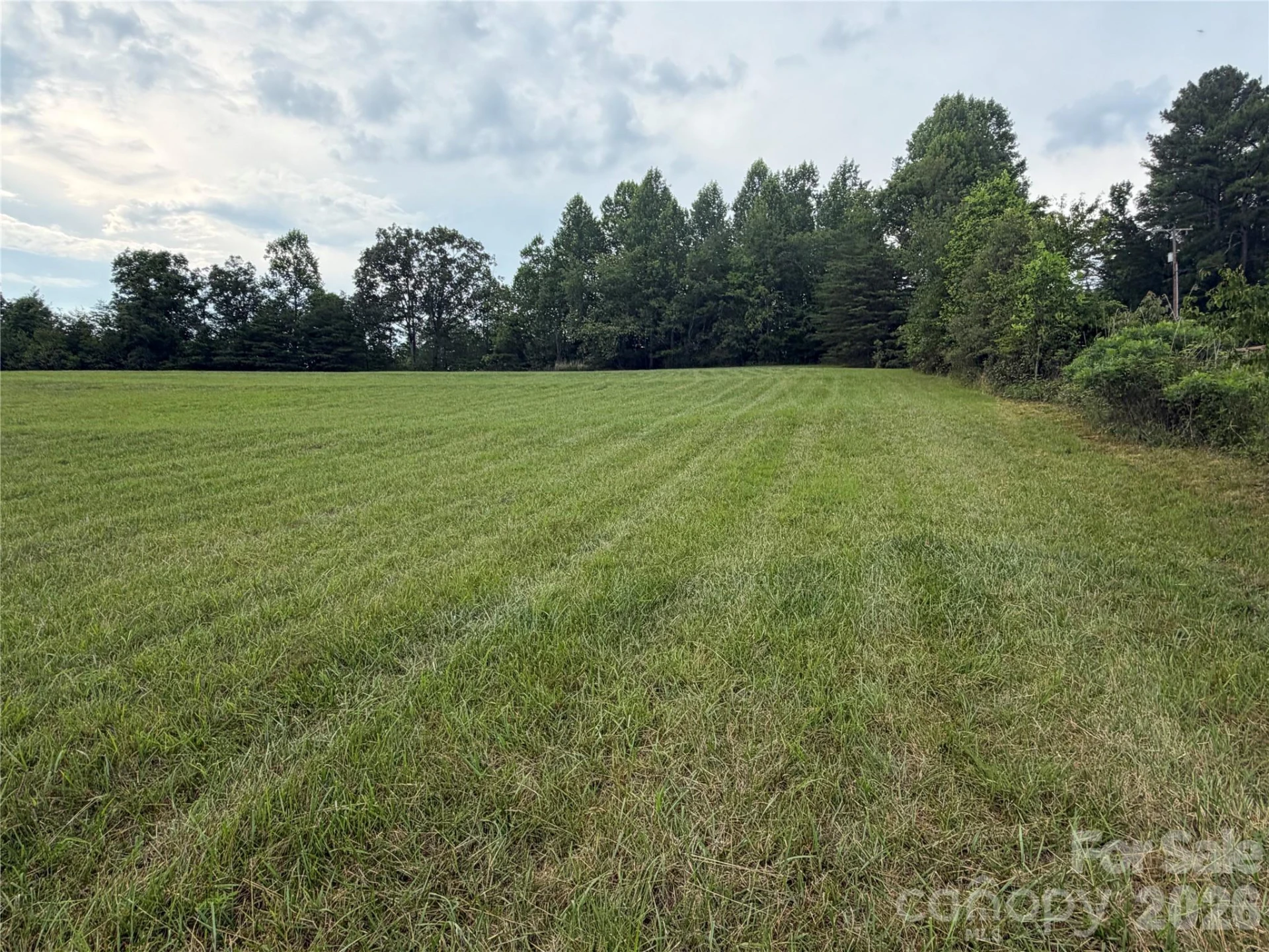 Lot 6 Parker Padgett Road - Photo 10