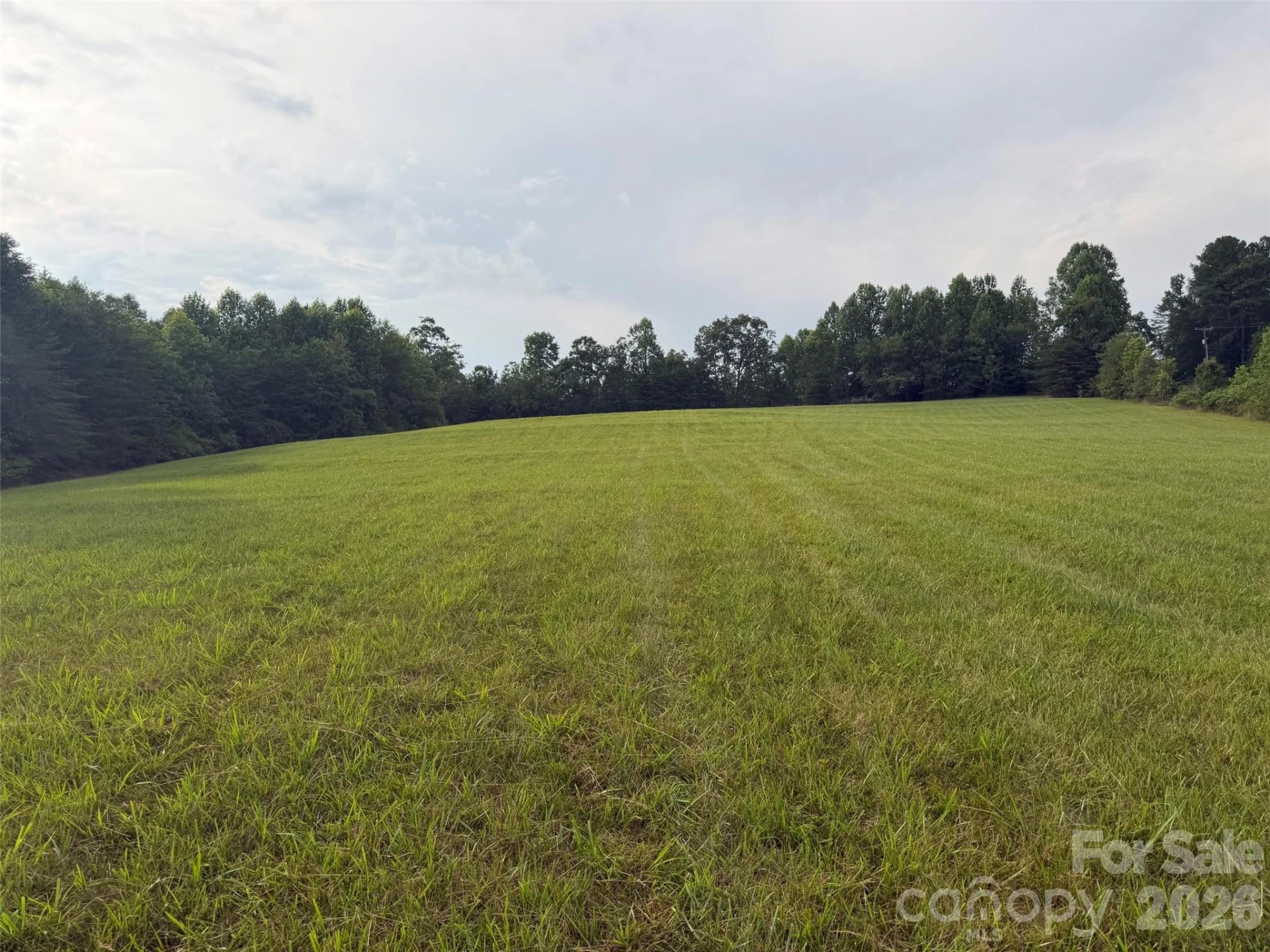 Lot 6 Parker Padgett Road - Photo 3
