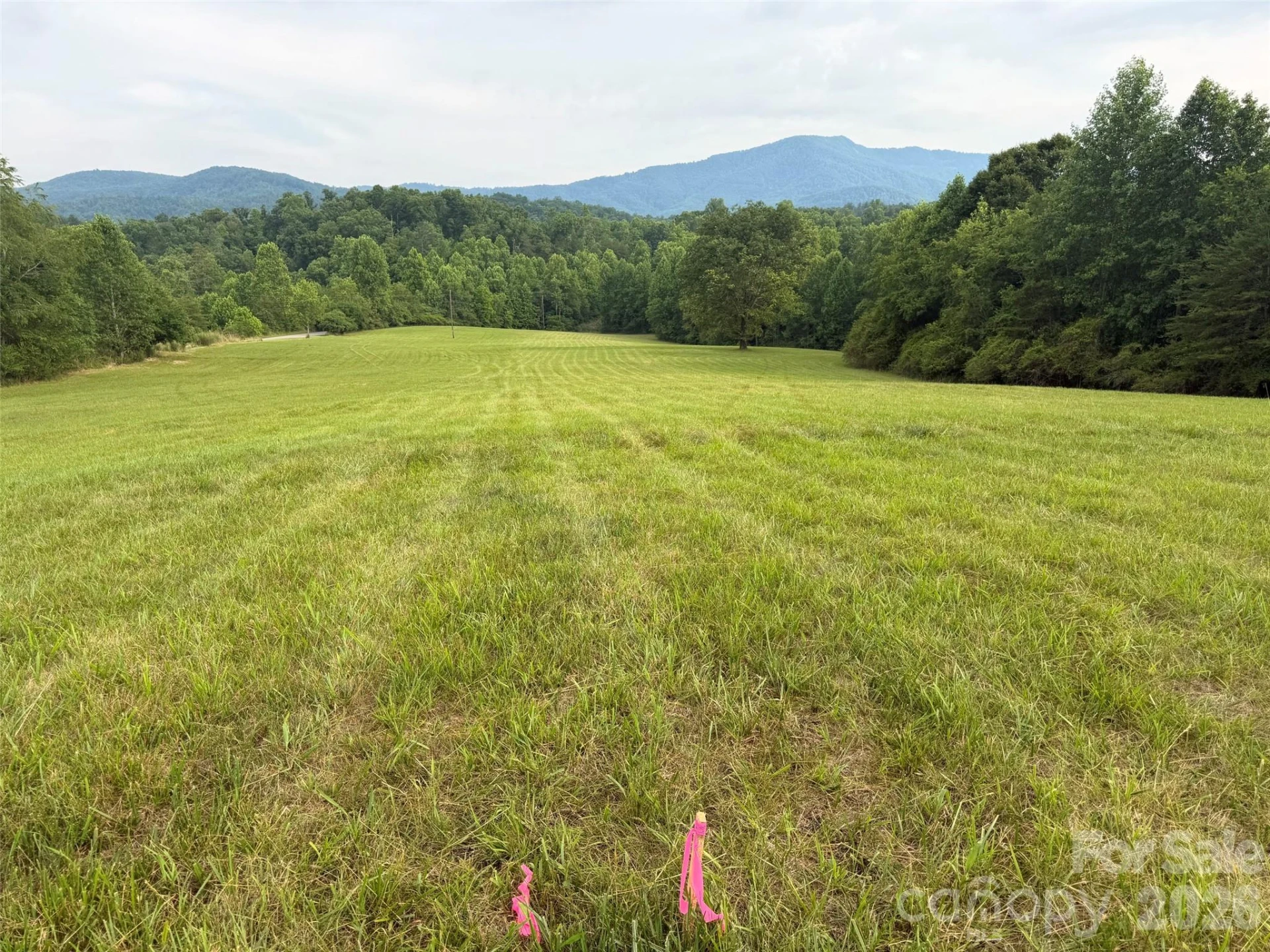 Lot 6 Parker Padgett Road - Photo 4